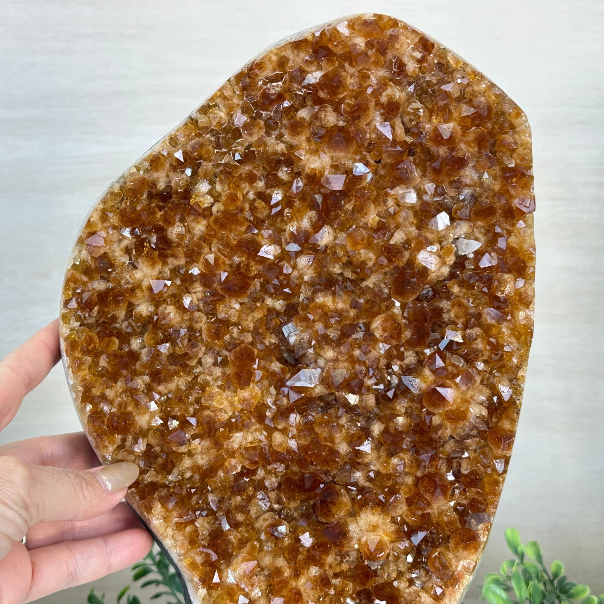 Extra Quality Citrine Cluster on Cement Base, 16.5 lbs and 14.9" Tall 5615 - 0070 - Brazil GemsBrazil GemsExtra Quality Citrine Cluster on Cement Base, 16.5 lbs and 14.9" Tall 5615 - 0070Clusters on Cement Bases5615 - 0070