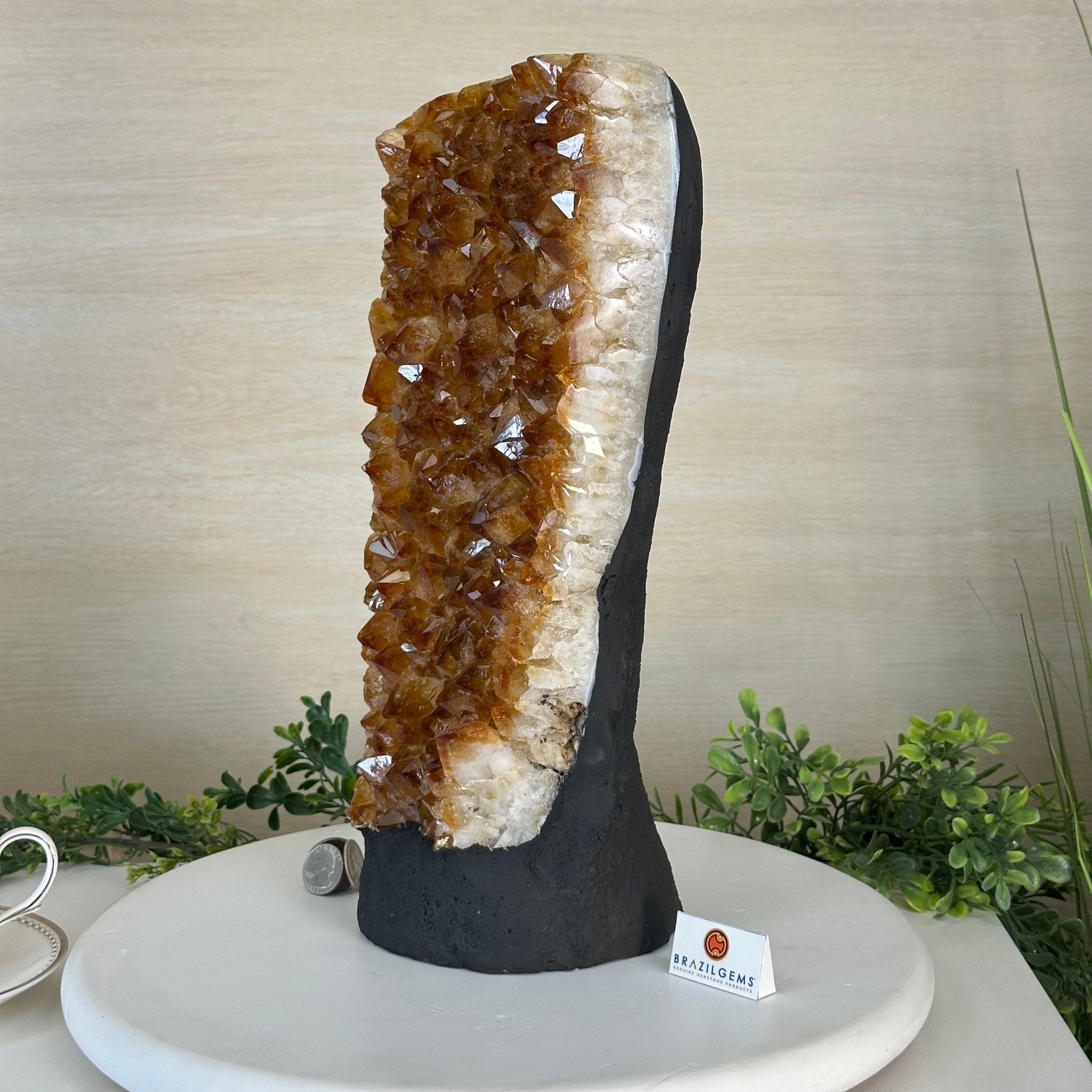 Extra Quality Citrine Cluster on Cement Base, 18.6 lbs and 14.9" Tall 5615 - 0071 - Brazil GemsBrazil GemsExtra Quality Citrine Cluster on Cement Base, 18.6 lbs and 14.9" Tall 5615 - 0071Clusters on Cement Bases5615 - 0071