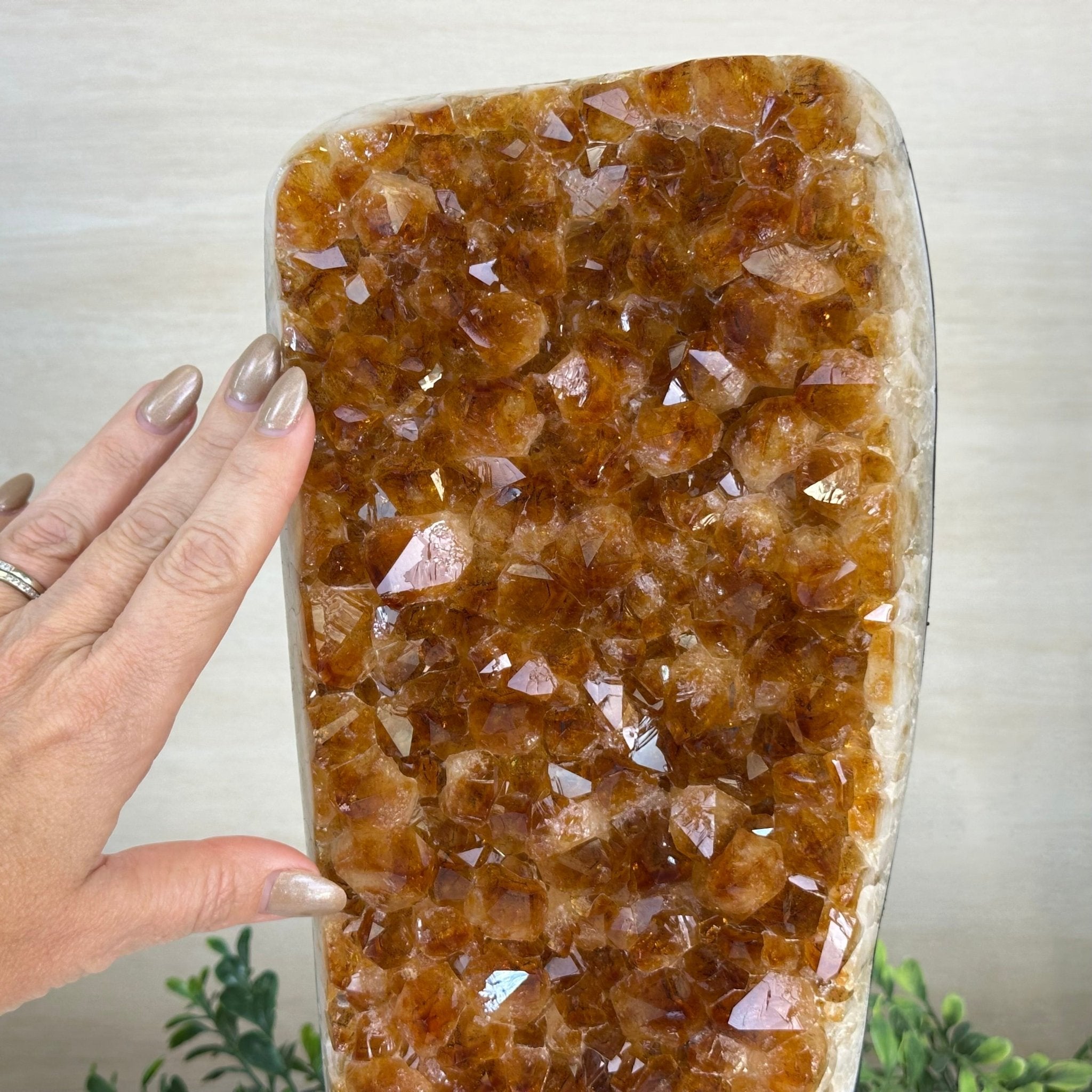 Extra Quality Citrine Cluster on Cement Base, 18.6 lbs and 14.9" Tall 5615 - 0071 - Brazil GemsBrazil GemsExtra Quality Citrine Cluster on Cement Base, 18.6 lbs and 14.9" Tall 5615 - 0071Clusters on Cement Bases5615 - 0071