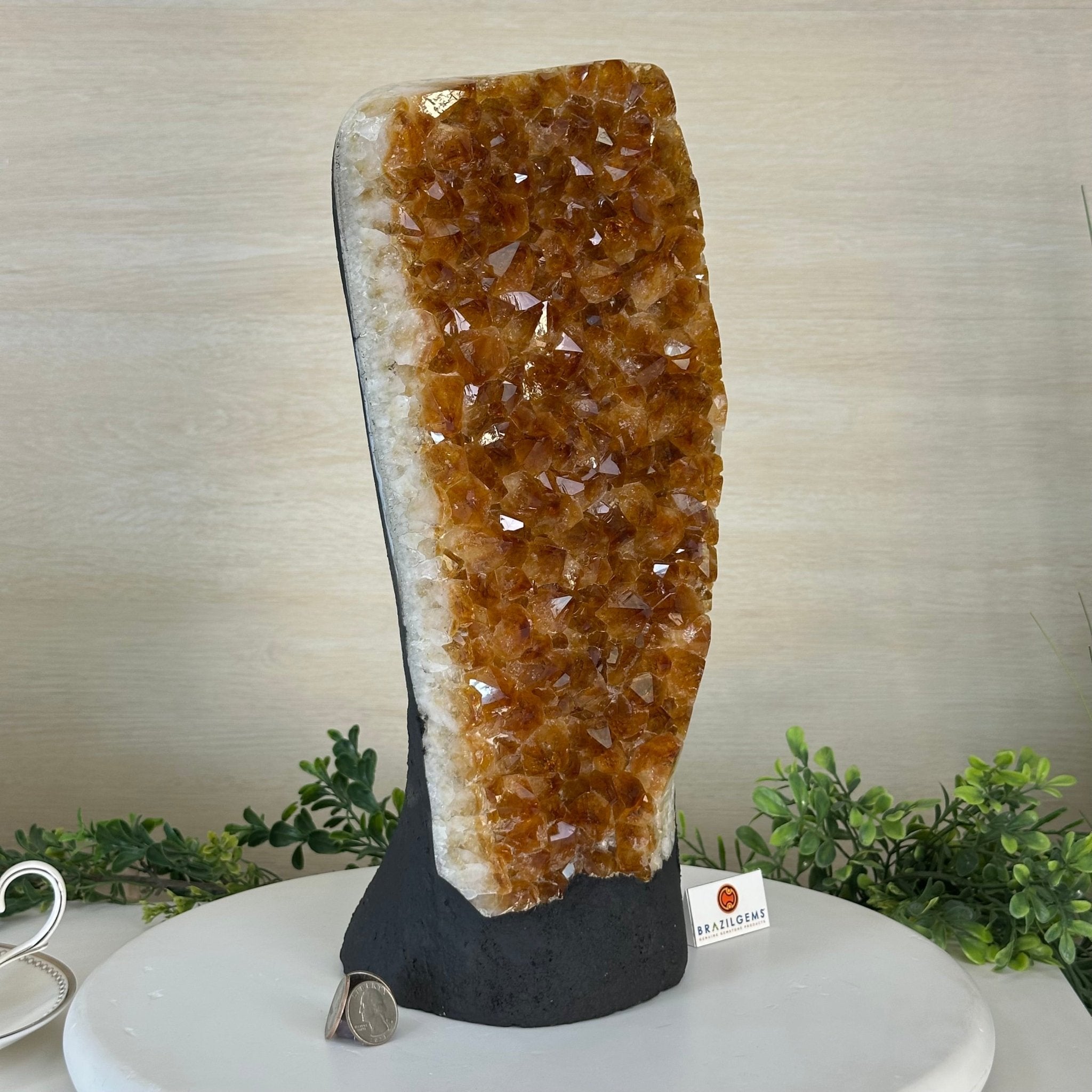 Extra Quality Citrine Cluster on Cement Base, 18.6 lbs and 14.9" Tall 5615 - 0071 - Brazil GemsBrazil GemsExtra Quality Citrine Cluster on Cement Base, 18.6 lbs and 14.9" Tall 5615 - 0071Clusters on Cement Bases5615 - 0071