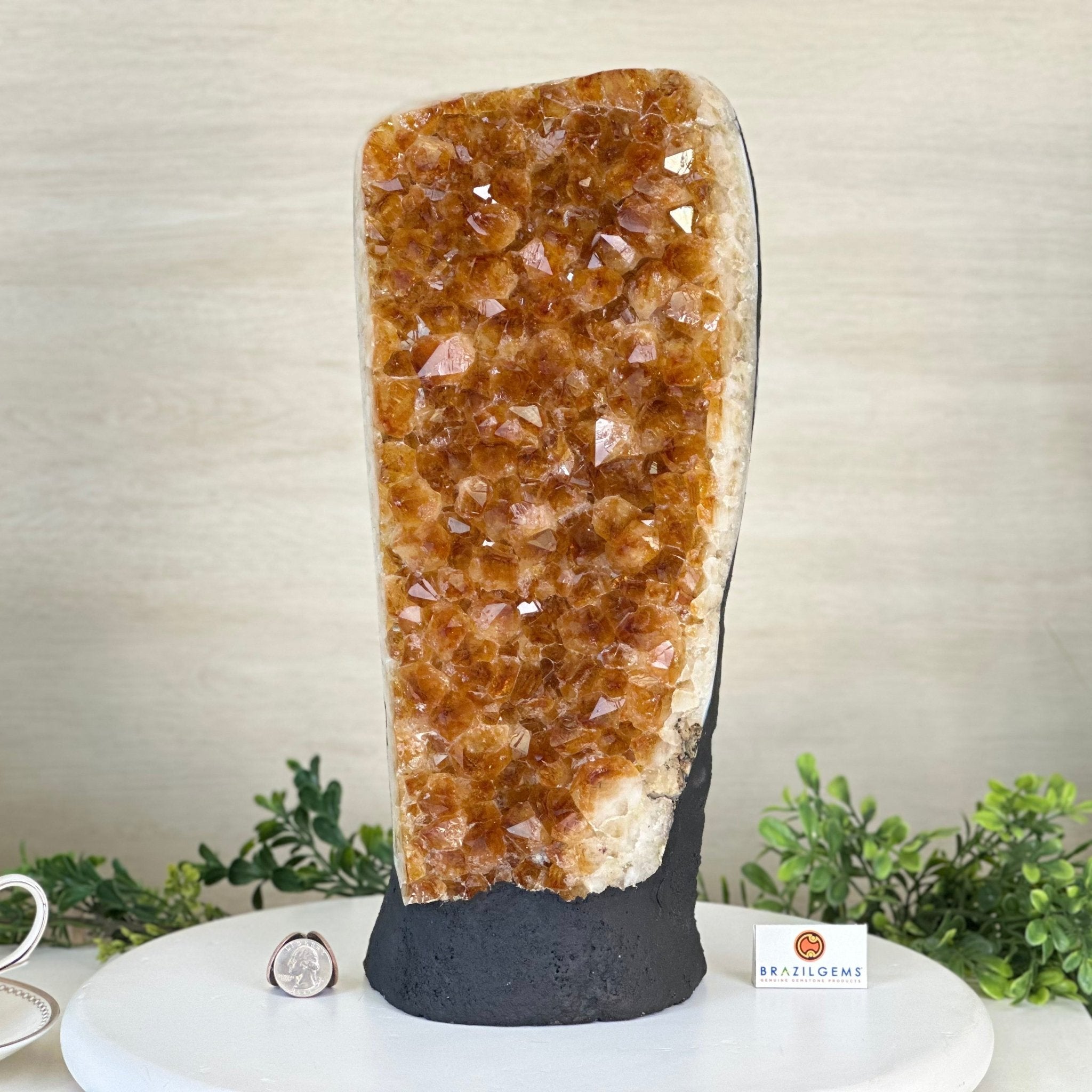 Extra Quality Citrine Cluster on Cement Base, 18.6 lbs and 14.9" Tall 5615 - 0071 - Brazil GemsBrazil GemsExtra Quality Citrine Cluster on Cement Base, 18.6 lbs and 14.9" Tall 5615 - 0071Clusters on Cement Bases5615 - 0071