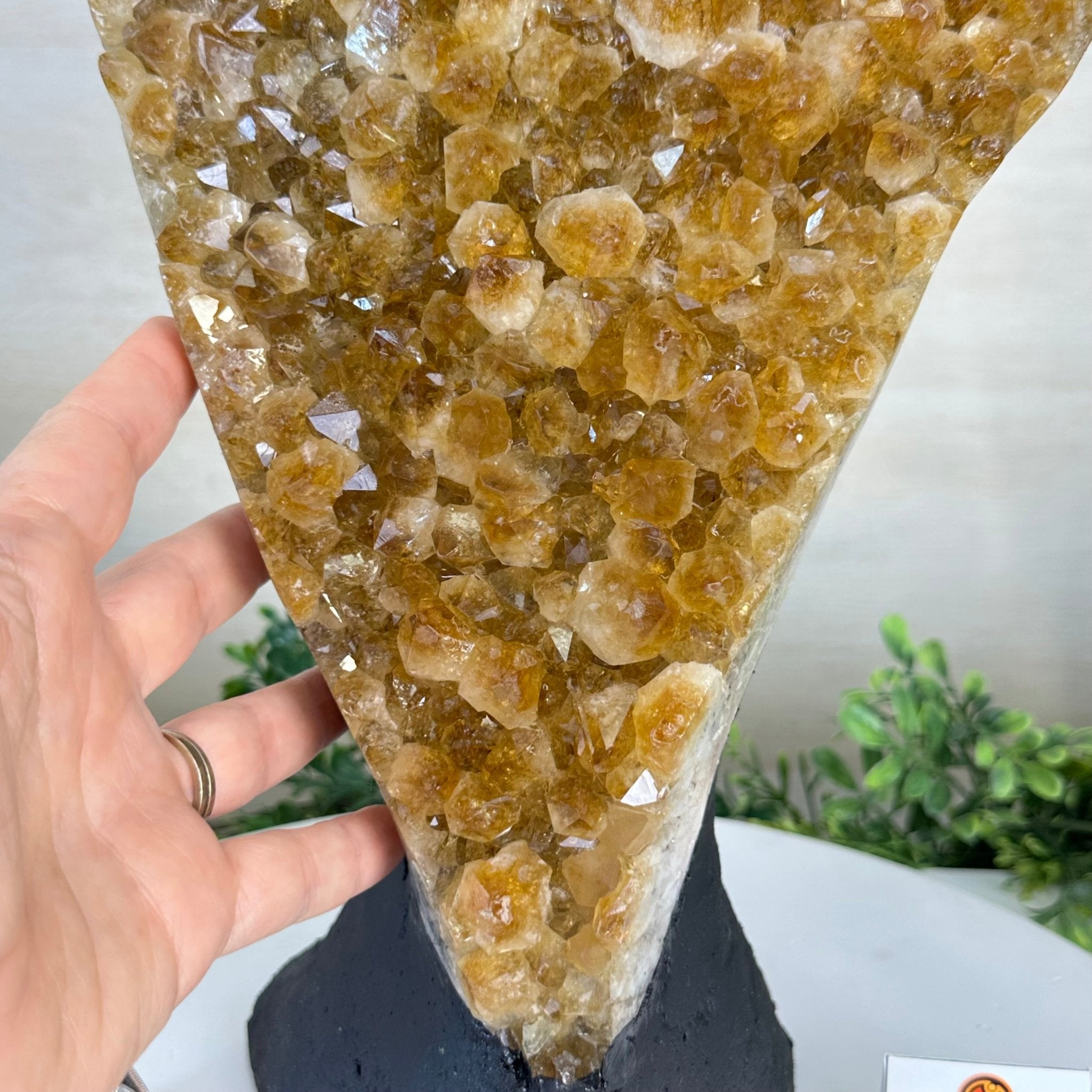 Extra Quality Citrine Cluster on Cement Base, 21.5 lbs and 14.6" Tall 5615 - 0072 - Brazil GemsBrazil GemsExtra Quality Citrine Cluster on Cement Base, 21.5 lbs and 14.6" Tall 5615 - 0072Clusters on Cement Bases5615 - 0072
