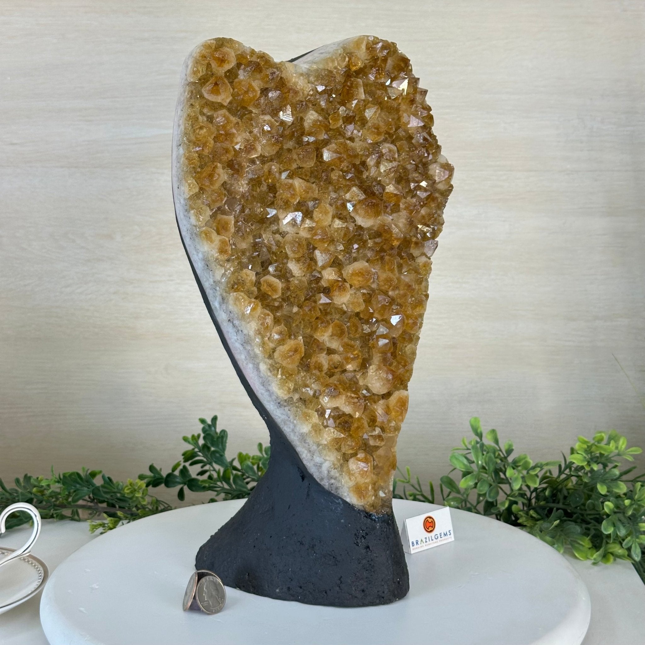 Extra Quality Citrine Cluster on Cement Base, 21.5 lbs and 14.6" Tall 5615 - 0072 - Brazil GemsBrazil GemsExtra Quality Citrine Cluster on Cement Base, 21.5 lbs and 14.6" Tall 5615 - 0072Clusters on Cement Bases5615 - 0072