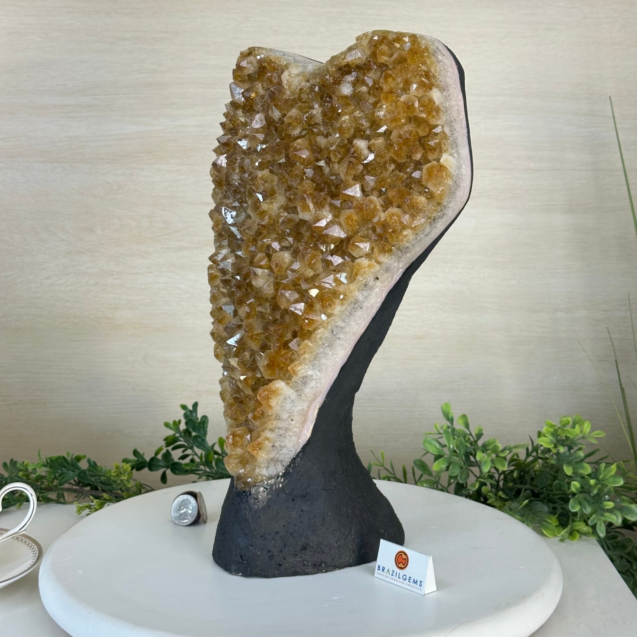 Extra Quality Citrine Cluster on Cement Base, 21.5 lbs and 14.6" Tall 5615 - 0072 - Brazil GemsBrazil GemsExtra Quality Citrine Cluster on Cement Base, 21.5 lbs and 14.6" Tall 5615 - 0072Clusters on Cement Bases5615 - 0072