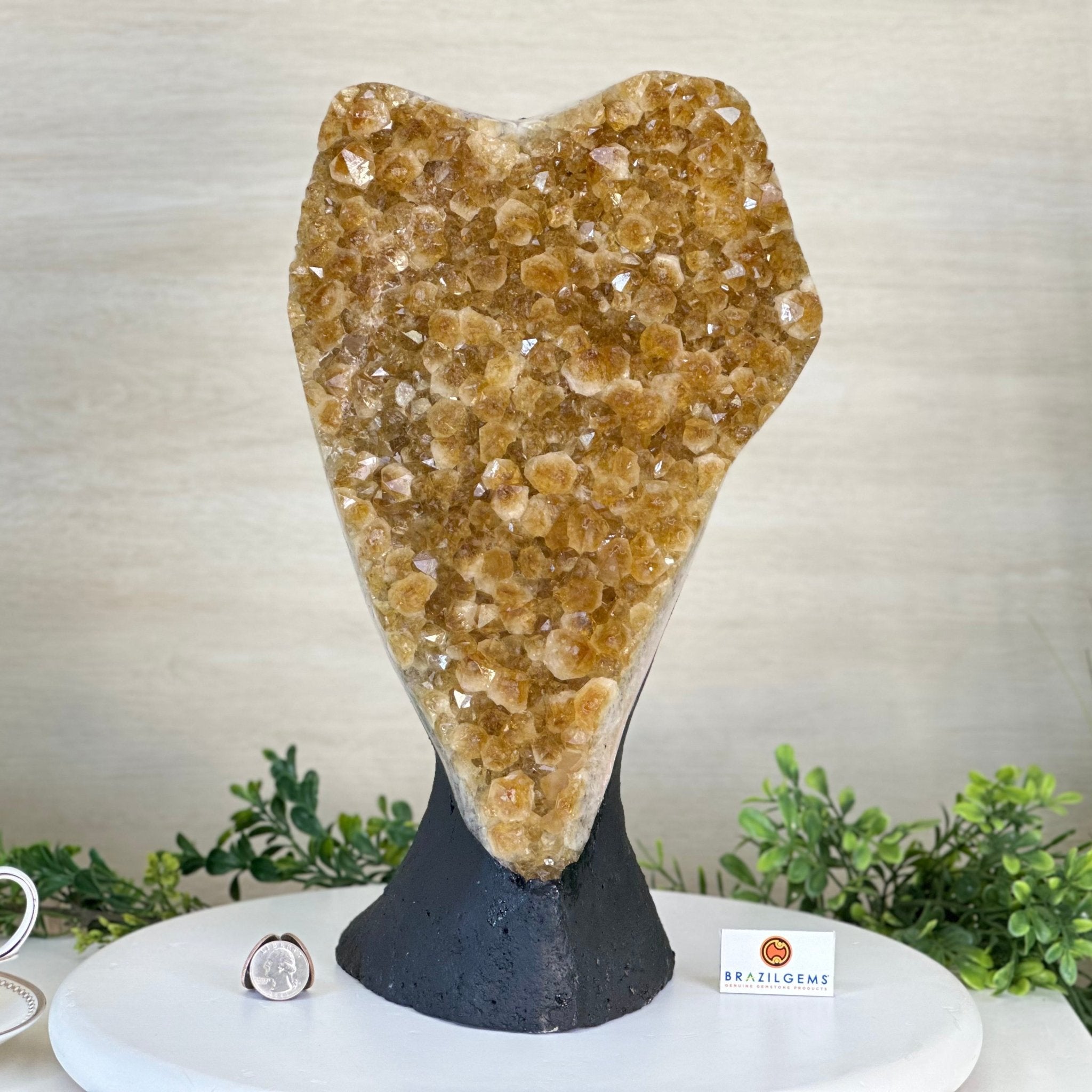 Extra Quality Citrine Cluster on Cement Base, 21.5 lbs and 14.6" Tall 5615 - 0072 - Brazil GemsBrazil GemsExtra Quality Citrine Cluster on Cement Base, 21.5 lbs and 14.6" Tall 5615 - 0072Clusters on Cement Bases5615 - 0072