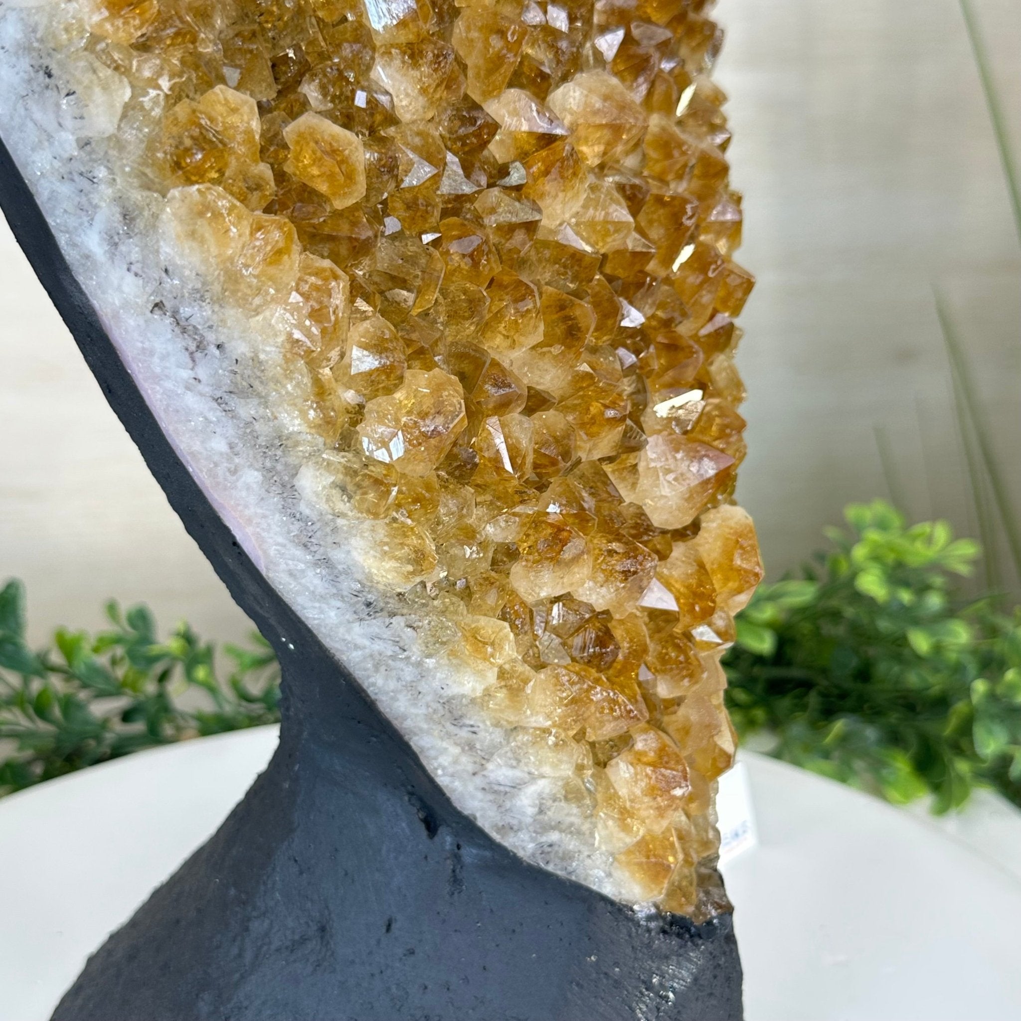 Extra Quality Citrine Cluster on Cement Base, 21.5 lbs and 14.6" Tall 5615 - 0072 - Brazil GemsBrazil GemsExtra Quality Citrine Cluster on Cement Base, 21.5 lbs and 14.6" Tall 5615 - 0072Clusters on Cement Bases5615 - 0072