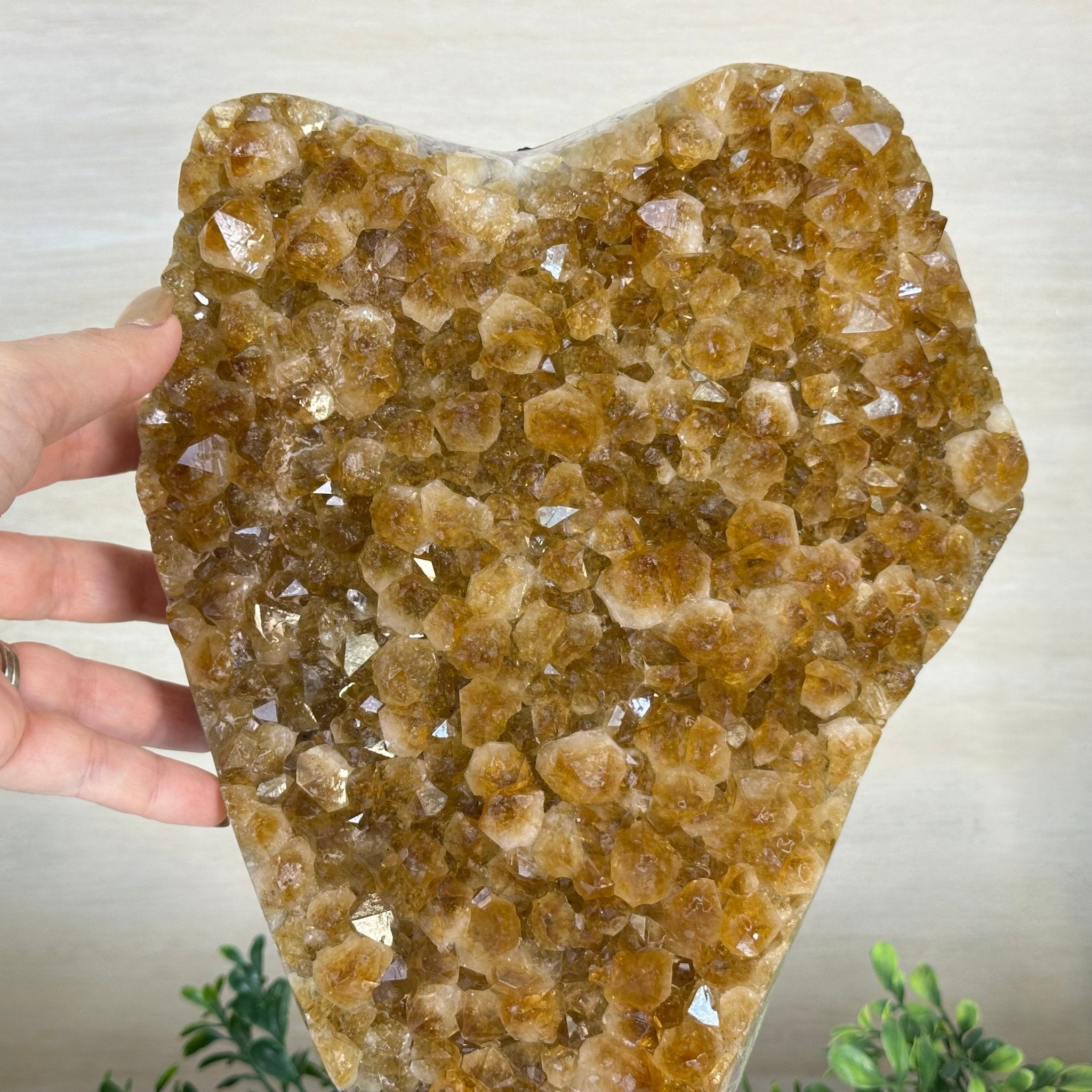 Extra Quality Citrine Cluster on Cement Base, 21.5 lbs and 14.6" Tall 5615 - 0072 - Brazil GemsBrazil GemsExtra Quality Citrine Cluster on Cement Base, 21.5 lbs and 14.6" Tall 5615 - 0072Clusters on Cement Bases5615 - 0072