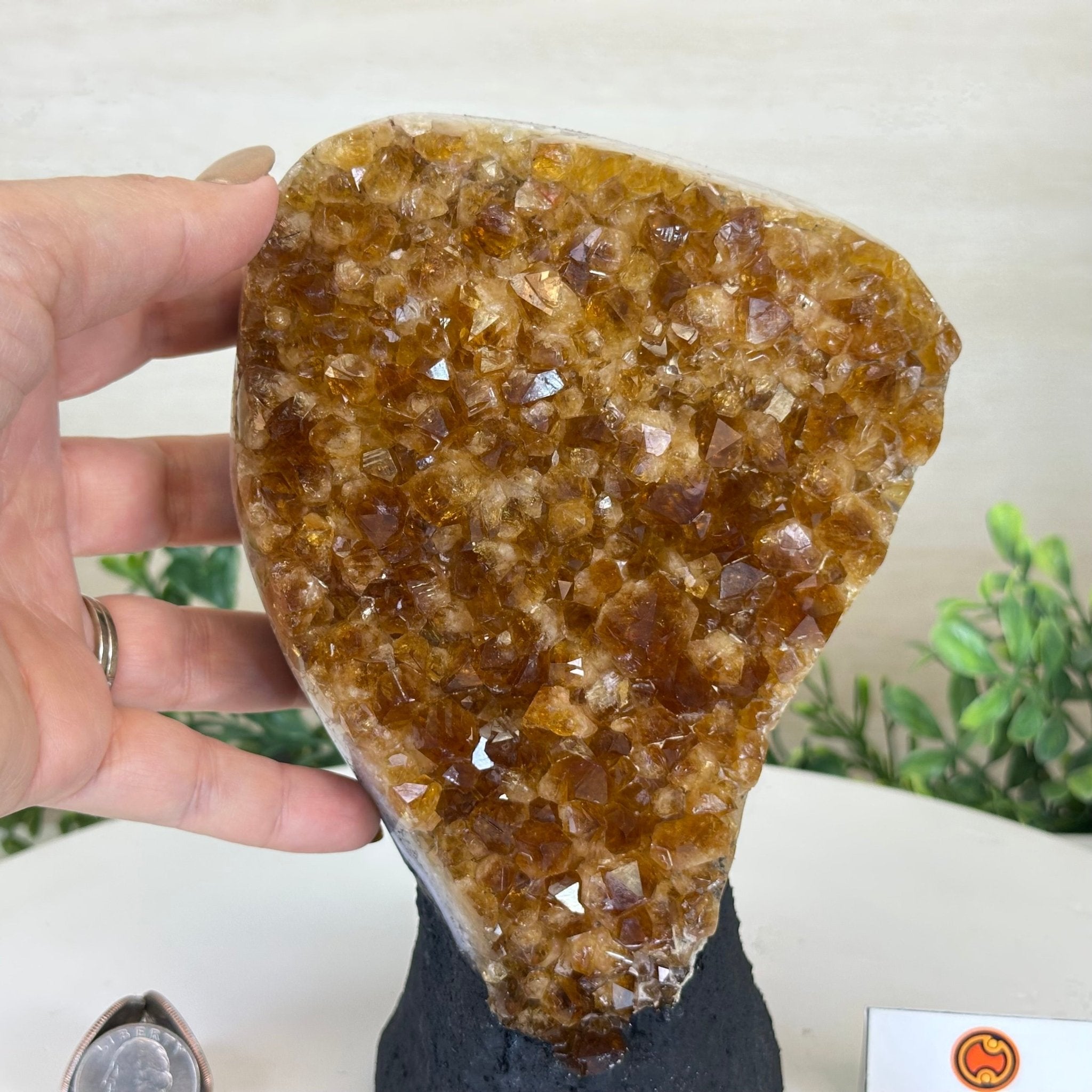 Extra Quality Citrine Cluster on Cement Base, 4.6 lbs and 7.9" Tall 5615 - 0048 - Brazil GemsBrazil GemsExtra Quality Citrine Cluster on Cement Base, 4.6 lbs and 7.9" Tall 5615 - 0048Clusters on Cement Bases5615 - 0048
