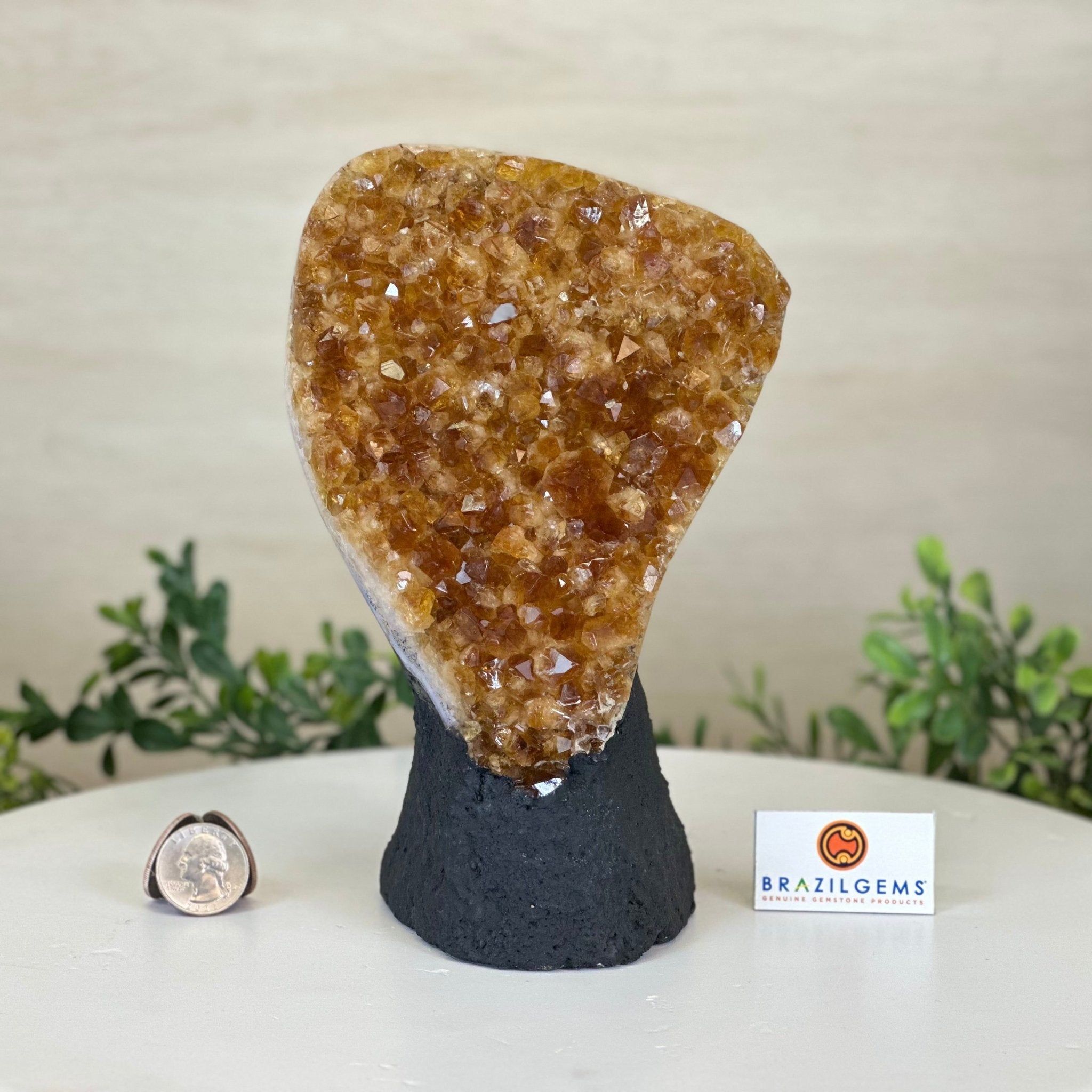 Extra Quality Citrine Cluster on Cement Base, 4.6 lbs and 7.9" Tall 5615 - 0048 - Brazil GemsBrazil GemsExtra Quality Citrine Cluster on Cement Base, 4.6 lbs and 7.9" Tall 5615 - 0048Clusters on Cement Bases5615 - 0048