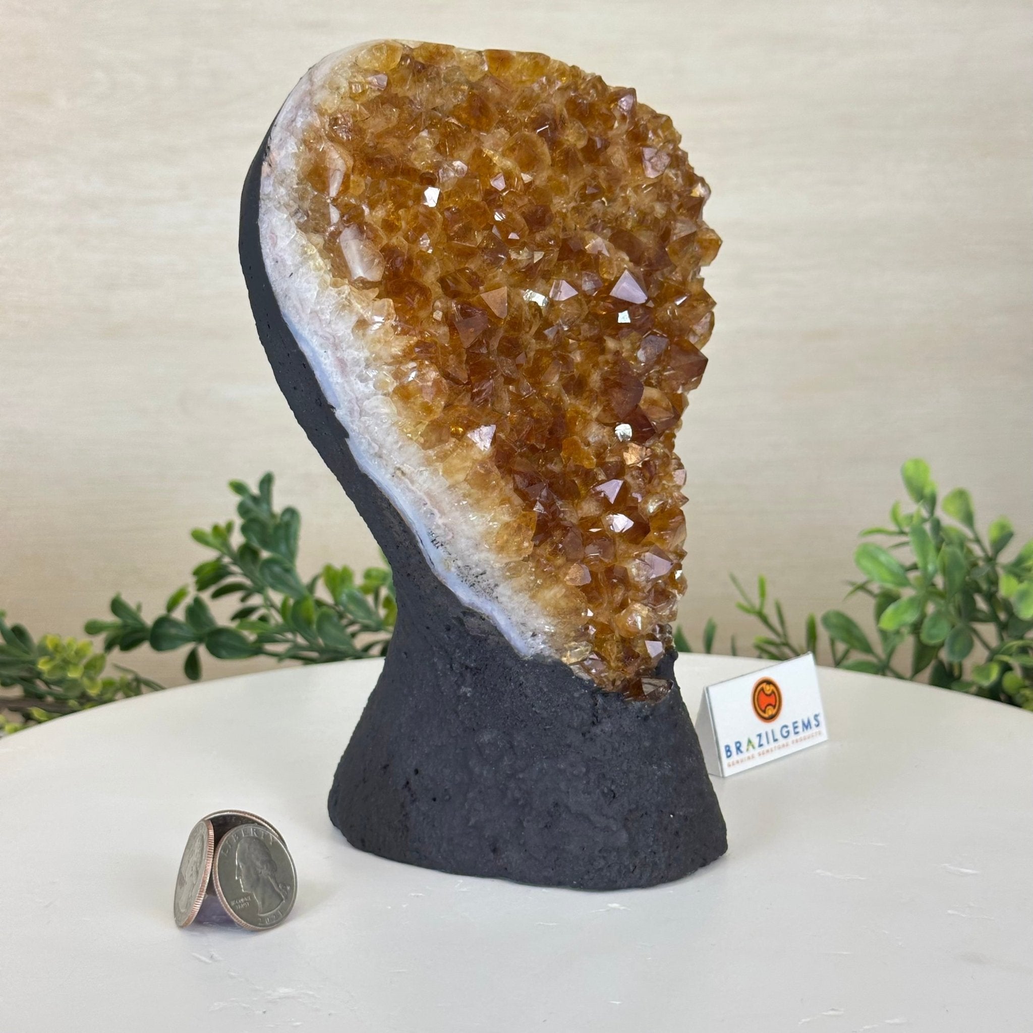 Extra Quality Citrine Cluster on Cement Base, 4.6 lbs and 7.9" Tall 5615 - 0048 - Brazil GemsBrazil GemsExtra Quality Citrine Cluster on Cement Base, 4.6 lbs and 7.9" Tall 5615 - 0048Clusters on Cement Bases5615 - 0048