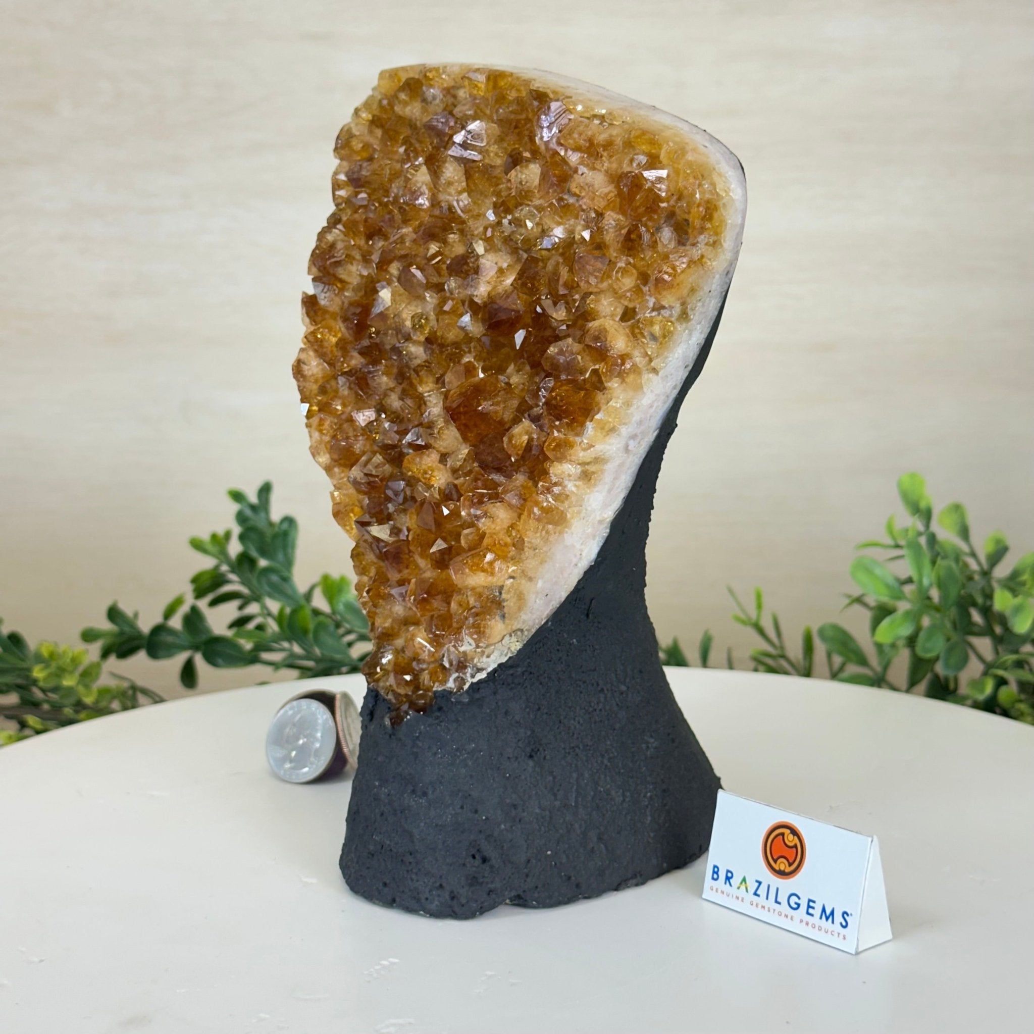 Extra Quality Citrine Cluster on Cement Base, 4.6 lbs and 7.9" Tall 5615 - 0048 - Brazil GemsBrazil GemsExtra Quality Citrine Cluster on Cement Base, 4.6 lbs and 7.9" Tall 5615 - 0048Clusters on Cement Bases5615 - 0048
