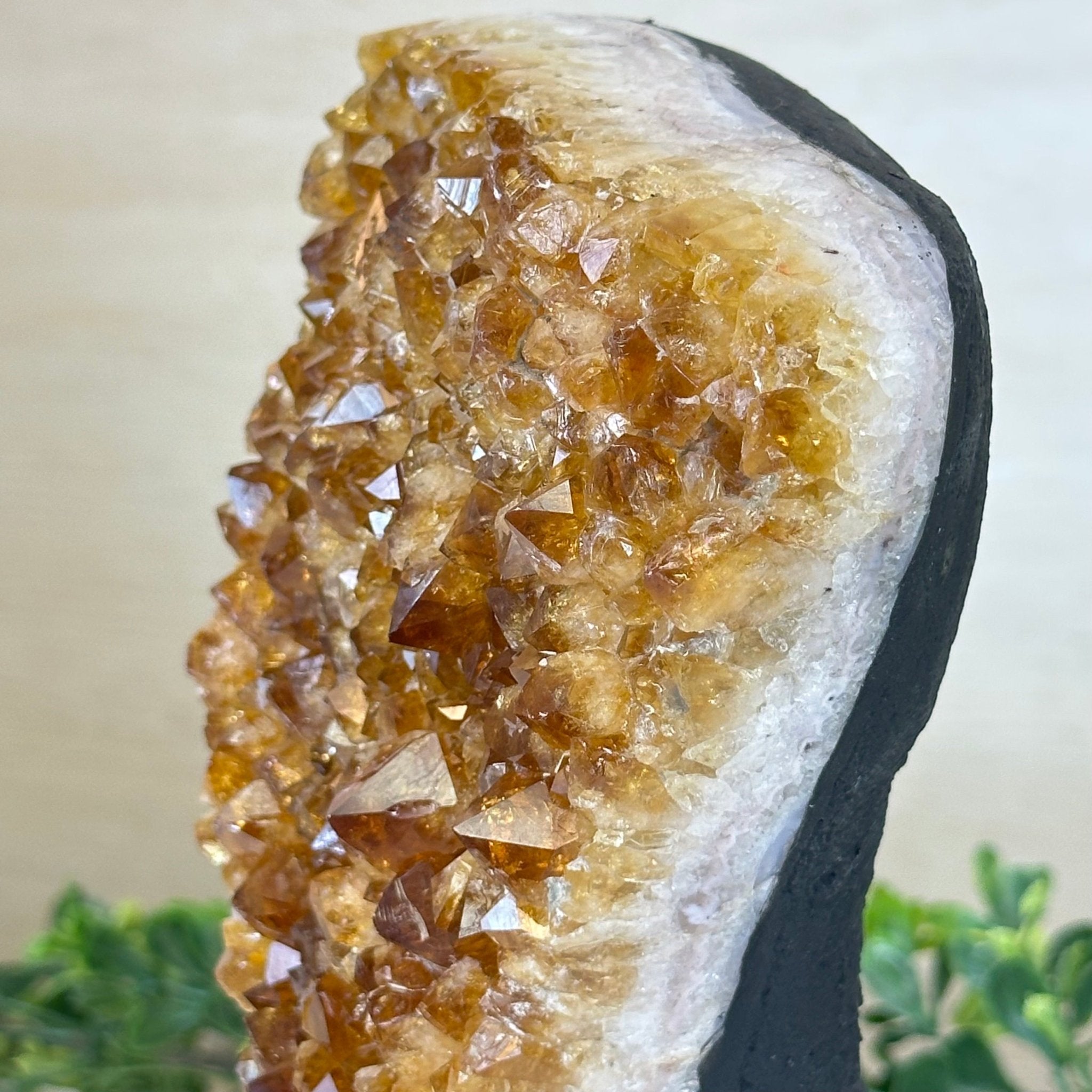 Extra Quality Citrine Cluster on Cement Base, 4.6 lbs and 7.9" Tall 5615 - 0048 - Brazil GemsBrazil GemsExtra Quality Citrine Cluster on Cement Base, 4.6 lbs and 7.9" Tall 5615 - 0048Clusters on Cement Bases5615 - 0048