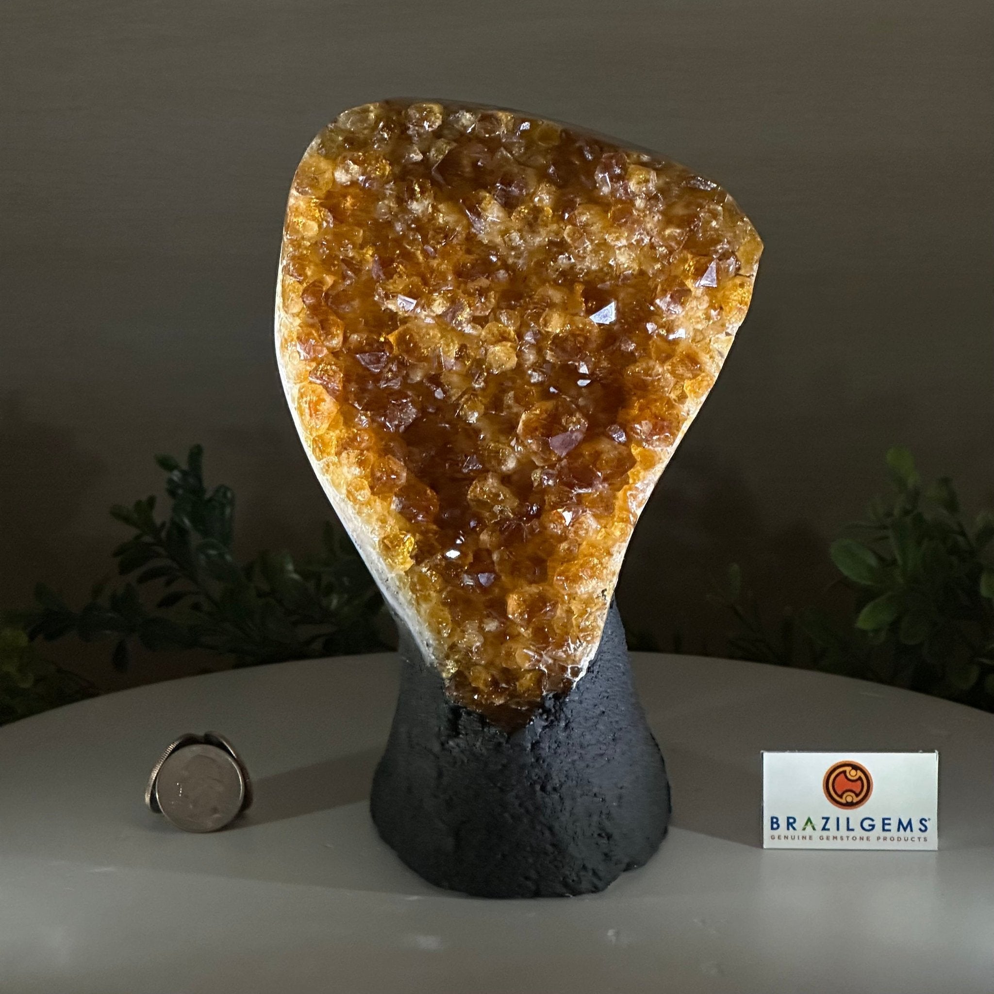 Extra Quality Citrine Cluster on Cement Base, 4.6 lbs and 7.9" Tall 5615 - 0048 - Brazil GemsBrazil GemsExtra Quality Citrine Cluster on Cement Base, 4.6 lbs and 7.9" Tall 5615 - 0048Clusters on Cement Bases5615 - 0048