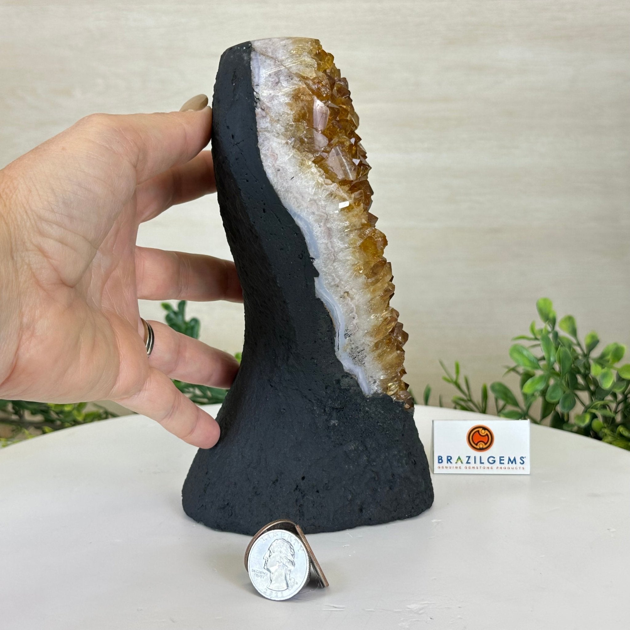 Extra Quality Citrine Cluster on Cement Base, 4.6 lbs and 7.9" Tall 5615 - 0048 - Brazil GemsBrazil GemsExtra Quality Citrine Cluster on Cement Base, 4.6 lbs and 7.9" Tall 5615 - 0048Clusters on Cement Bases5615 - 0048