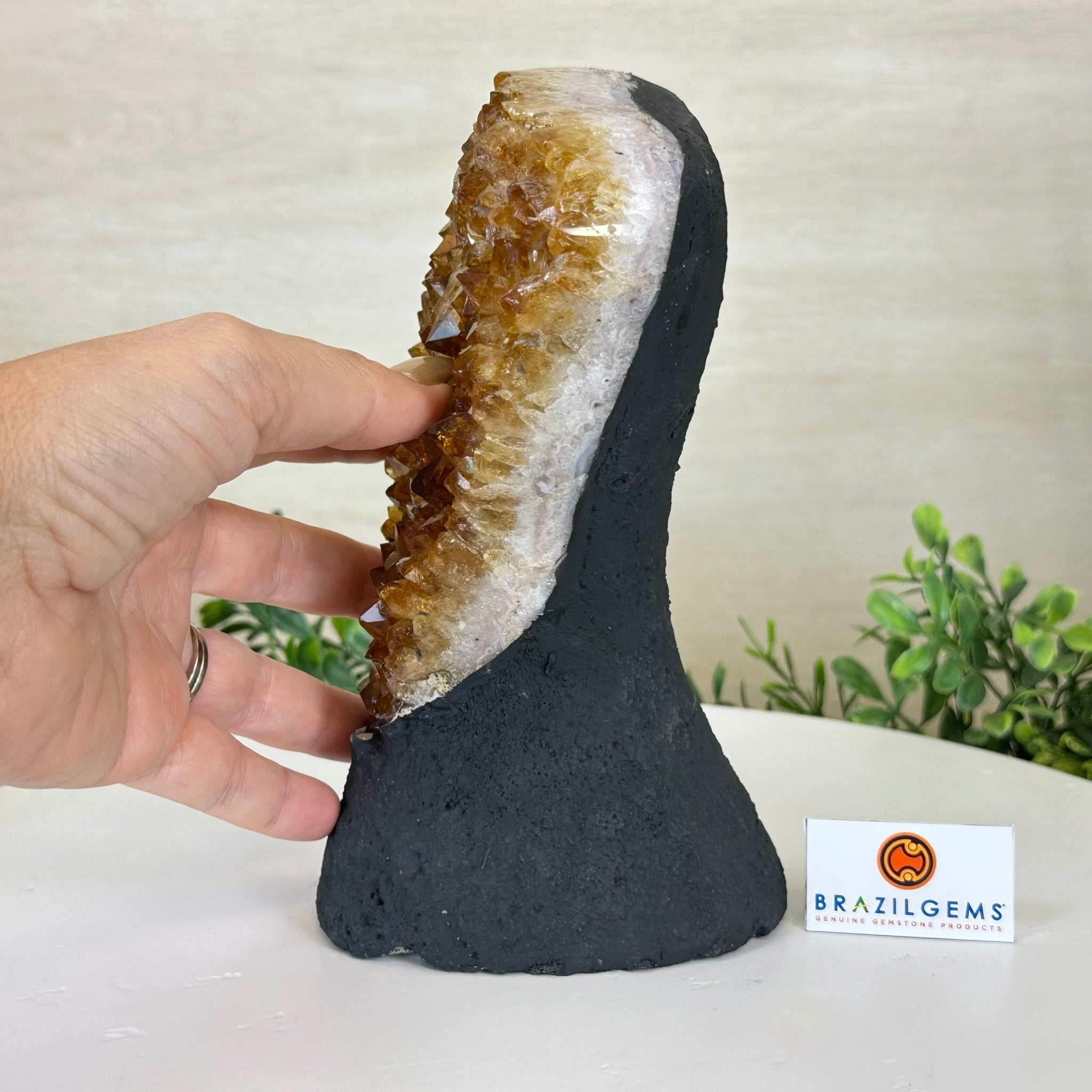 Extra Quality Citrine Cluster on Cement Base, 4.6 lbs and 7.9" Tall 5615 - 0048 - Brazil GemsBrazil GemsExtra Quality Citrine Cluster on Cement Base, 4.6 lbs and 7.9" Tall 5615 - 0048Clusters on Cement Bases5615 - 0048