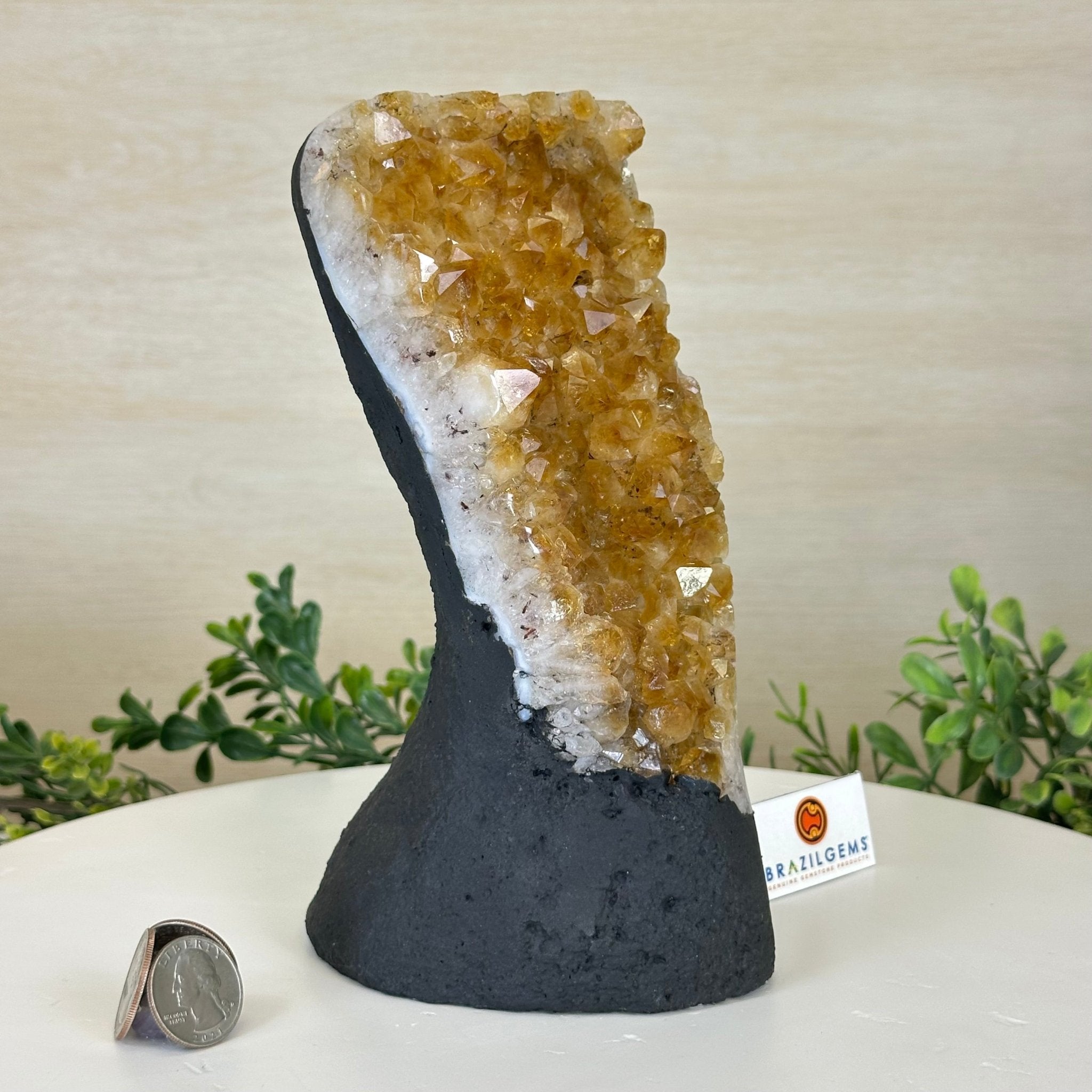 Extra Quality Citrine Cluster on Cement Base, 4.6 lbs and 8.2" Tall 5615 - 0047 - Brazil GemsBrazil GemsExtra Quality Citrine Cluster on Cement Base, 4.6 lbs and 8.2" Tall 5615 - 0047Clusters on Cement Bases5615 - 0047