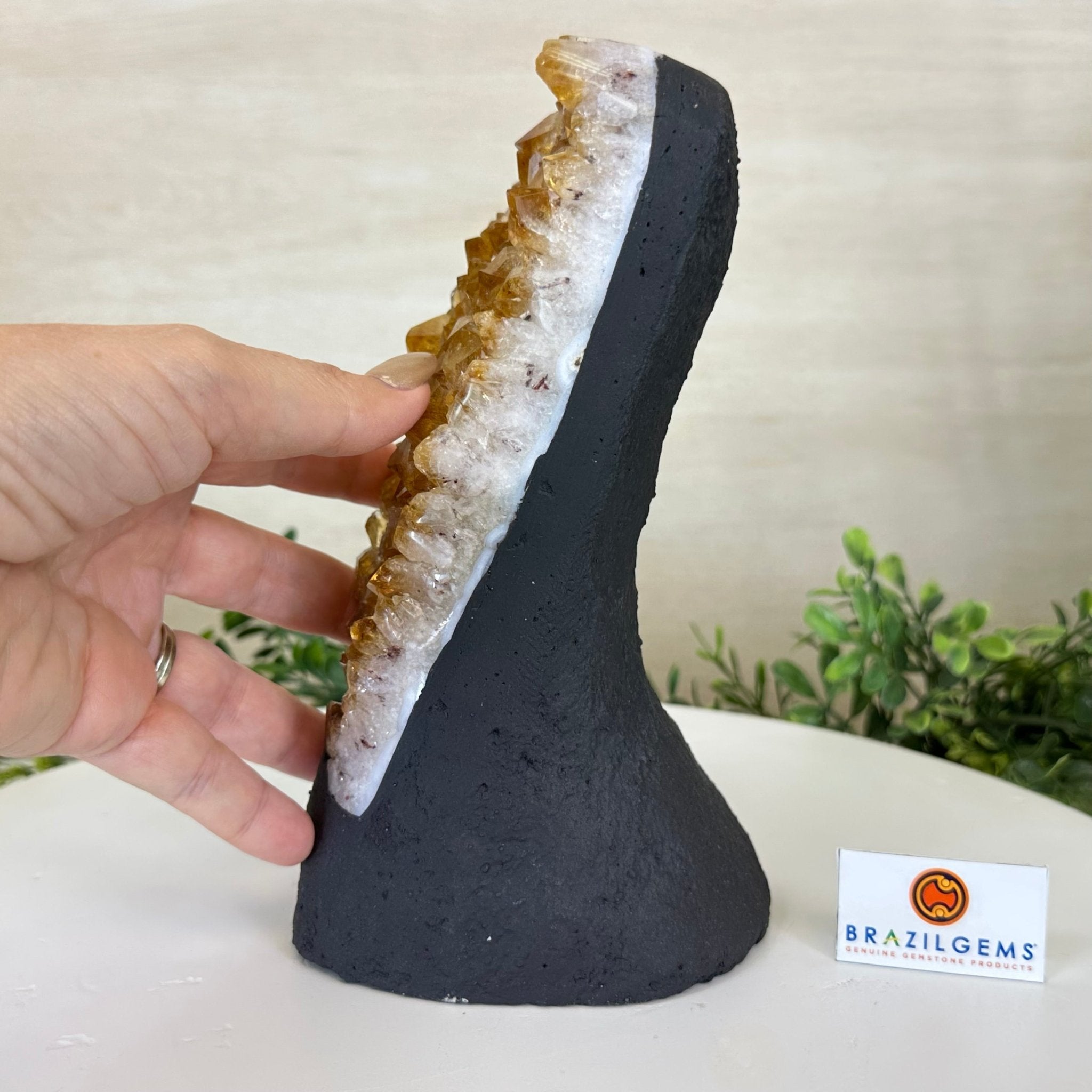 Extra Quality Citrine Cluster on Cement Base, 4.6 lbs and 8.2" Tall 5615 - 0047 - Brazil GemsBrazil GemsExtra Quality Citrine Cluster on Cement Base, 4.6 lbs and 8.2" Tall 5615 - 0047Clusters on Cement Bases5615 - 0047