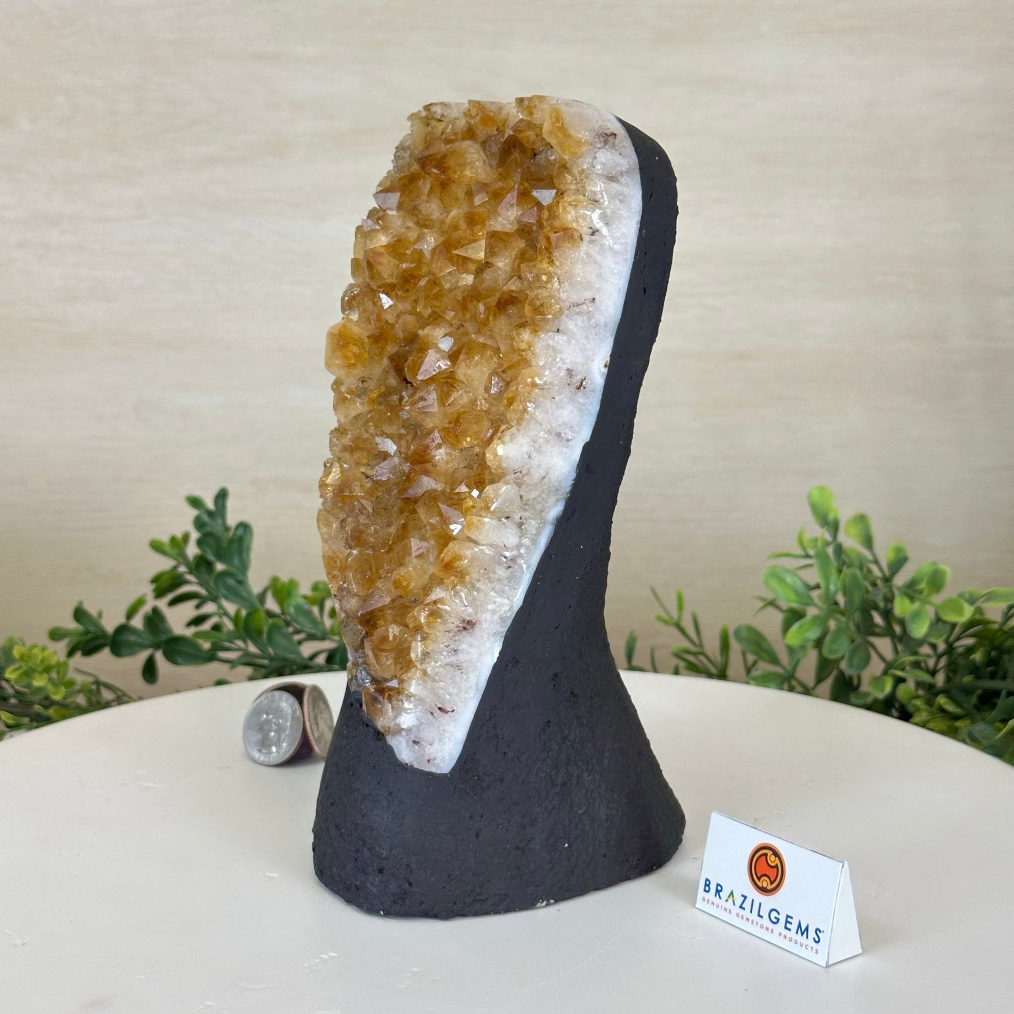 Extra Quality Citrine Cluster on Cement Base, 4.6 lbs and 8.2" Tall 5615 - 0047 - Brazil GemsBrazil GemsExtra Quality Citrine Cluster on Cement Base, 4.6 lbs and 8.2" Tall 5615 - 0047Clusters on Cement Bases5615 - 0047
