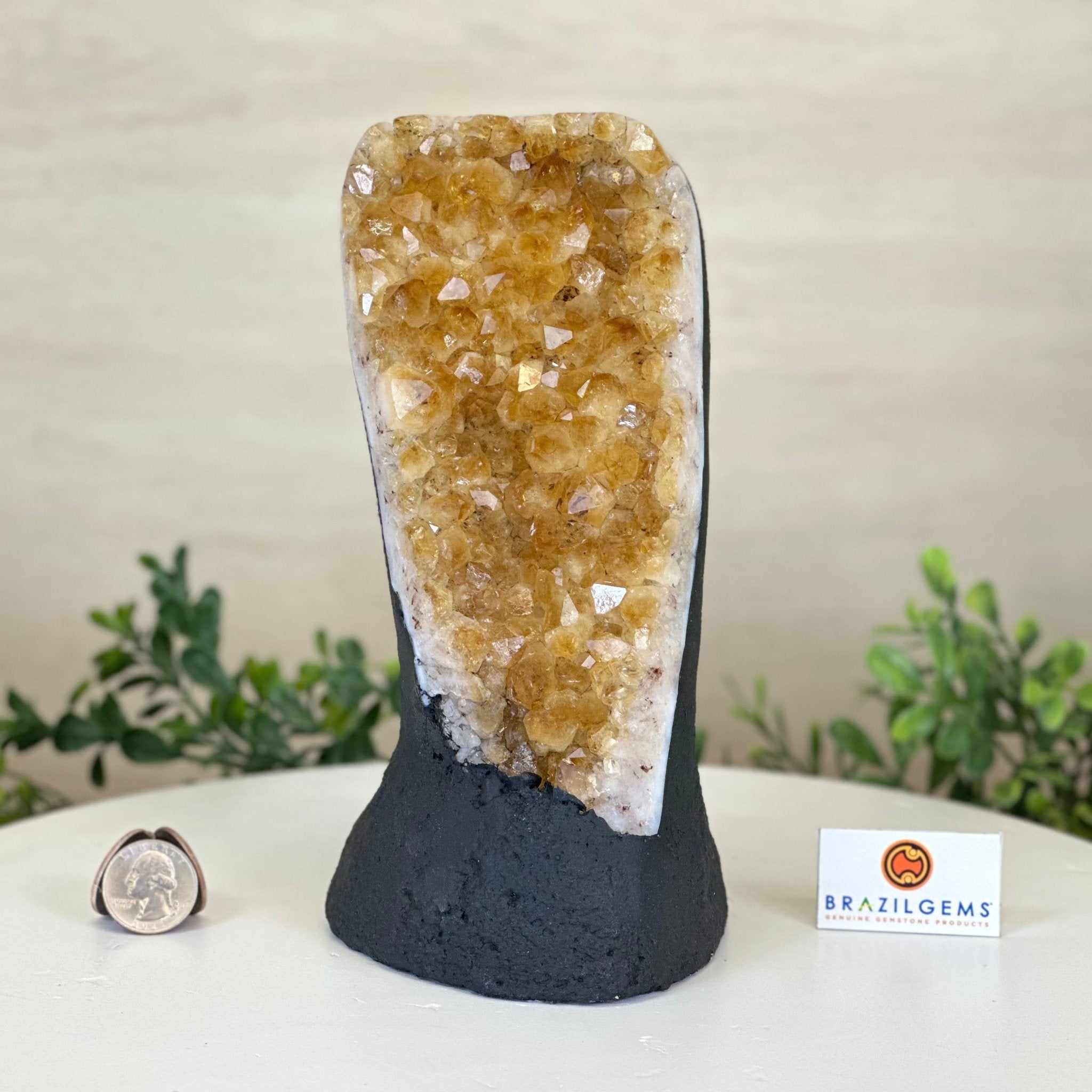 Extra Quality Citrine Cluster on Cement Base, 4.6 lbs and 8.2" Tall 5615 - 0047 - Brazil GemsBrazil GemsExtra Quality Citrine Cluster on Cement Base, 4.6 lbs and 8.2" Tall 5615 - 0047Clusters on Cement Bases5615 - 0047