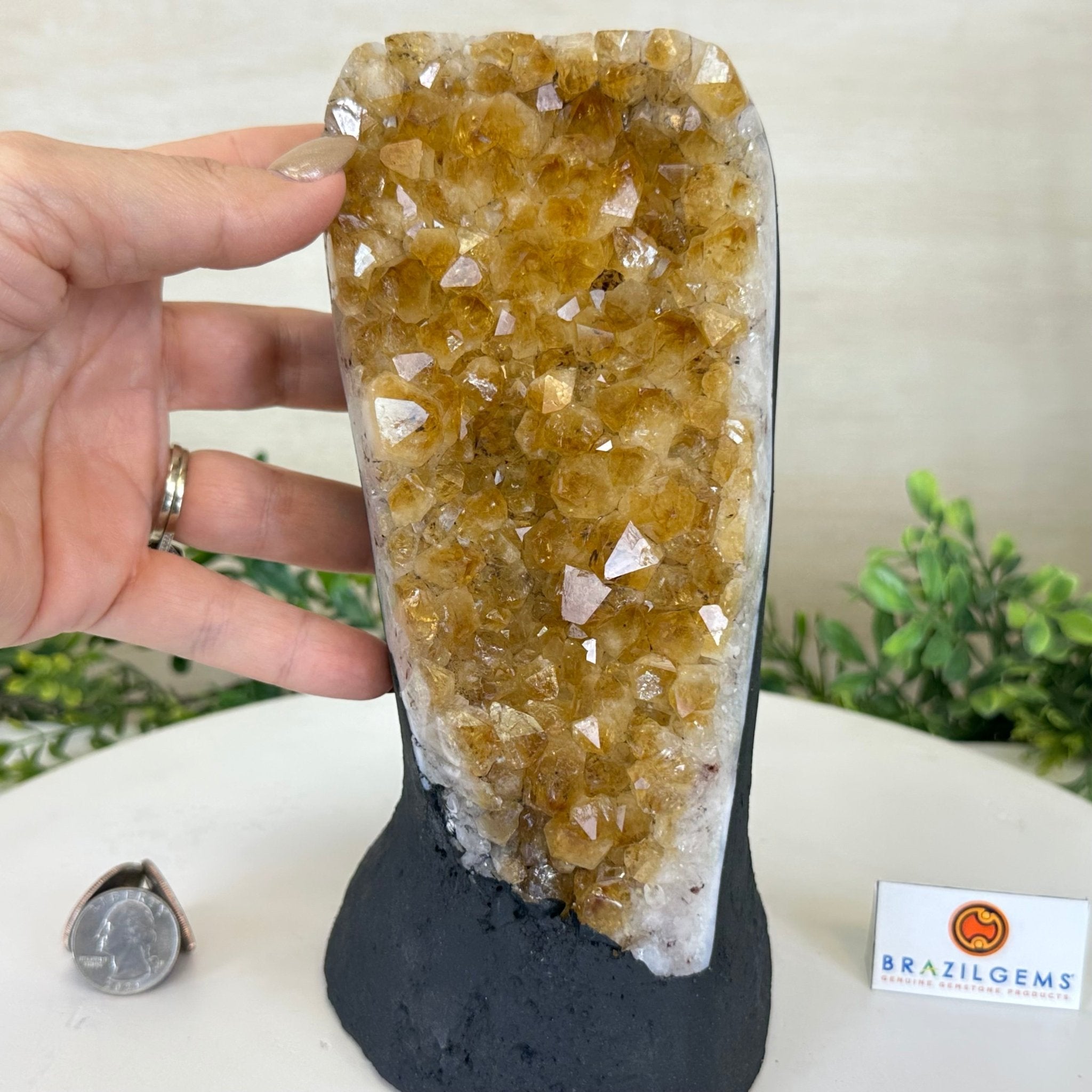 Extra Quality Citrine Cluster on Cement Base, 4.6 lbs and 8.2" Tall 5615 - 0047 - Brazil GemsBrazil GemsExtra Quality Citrine Cluster on Cement Base, 4.6 lbs and 8.2" Tall 5615 - 0047Clusters on Cement Bases5615 - 0047