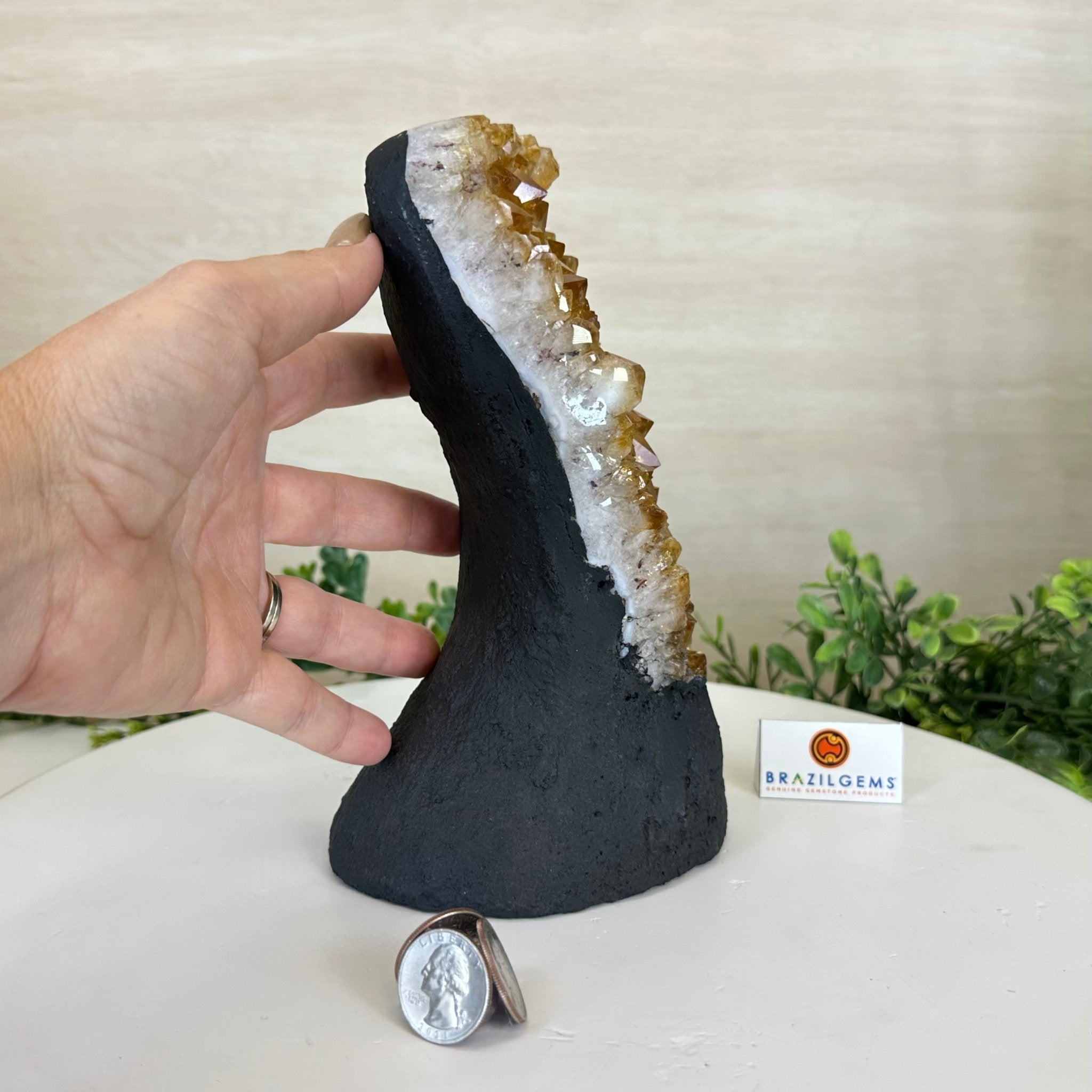 Extra Quality Citrine Cluster on Cement Base, 4.6 lbs and 8.2" Tall 5615 - 0047 - Brazil GemsBrazil GemsExtra Quality Citrine Cluster on Cement Base, 4.6 lbs and 8.2" Tall 5615 - 0047Clusters on Cement Bases5615 - 0047