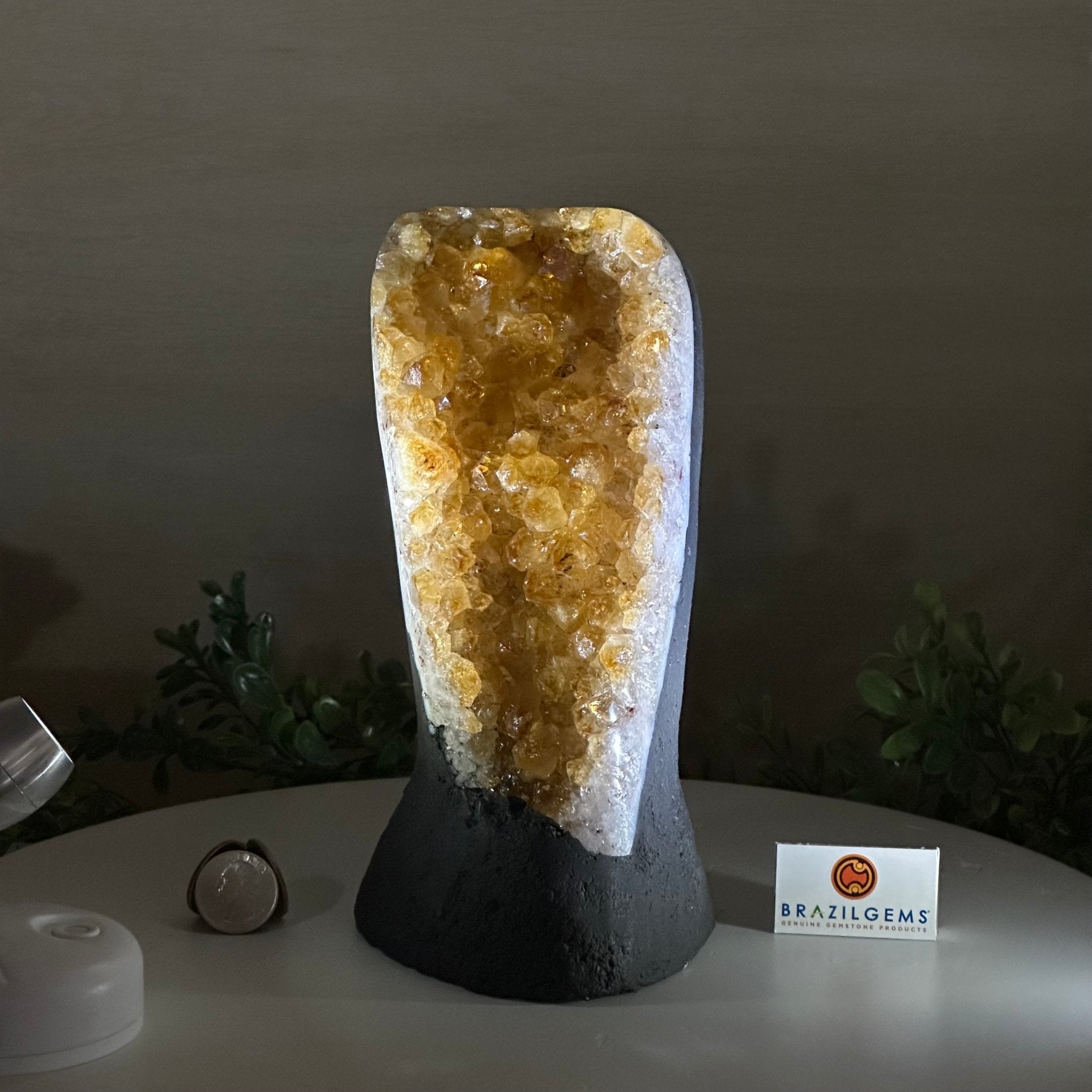Extra Quality Citrine Cluster on Cement Base, 4.6 lbs and 8.2" Tall 5615 - 0047 - Brazil GemsBrazil GemsExtra Quality Citrine Cluster on Cement Base, 4.6 lbs and 8.2" Tall 5615 - 0047Clusters on Cement Bases5615 - 0047