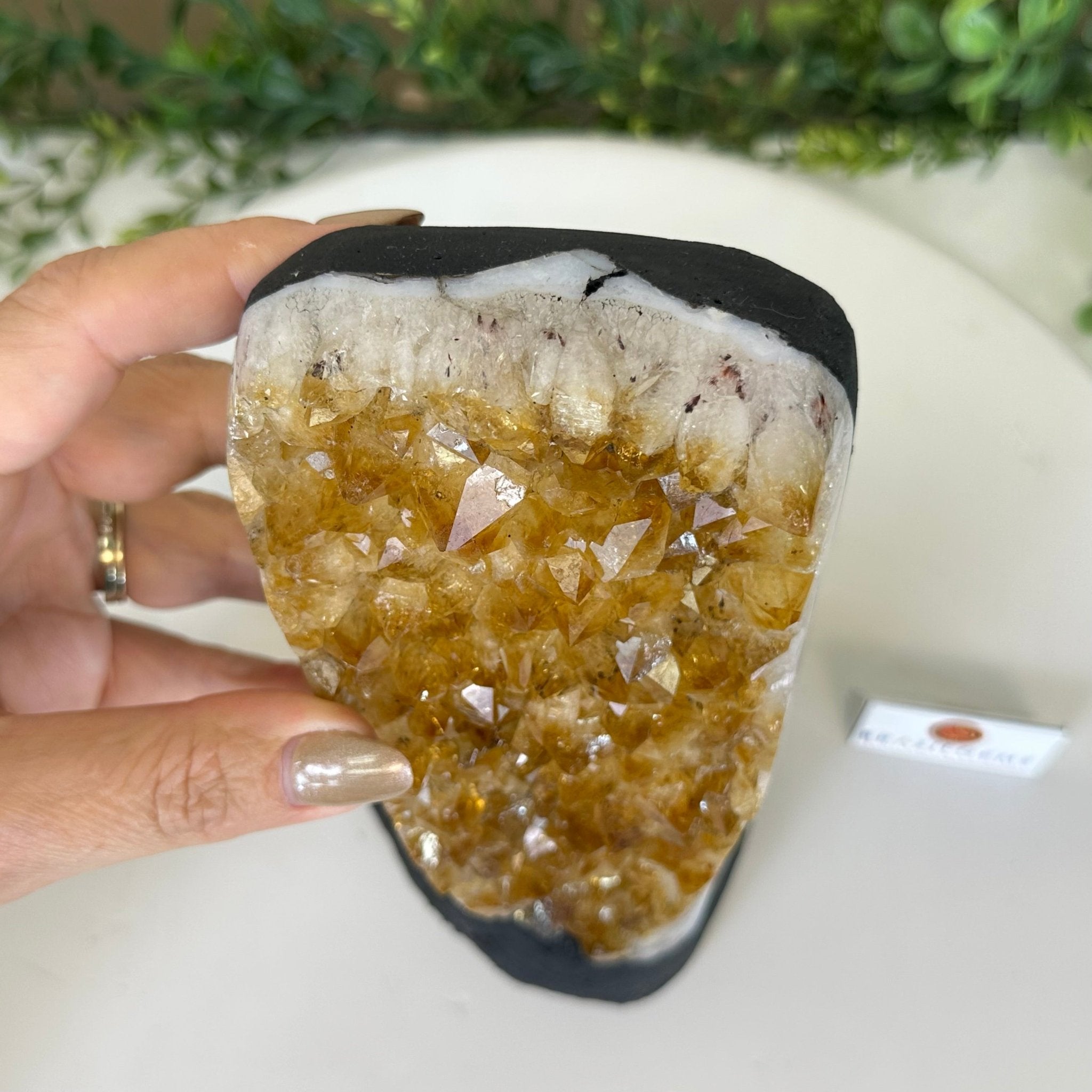 Extra Quality Citrine Cluster on Cement Base, 4.6 lbs and 8.2" Tall 5615 - 0047 - Brazil GemsBrazil GemsExtra Quality Citrine Cluster on Cement Base, 4.6 lbs and 8.2" Tall 5615 - 0047Clusters on Cement Bases5615 - 0047