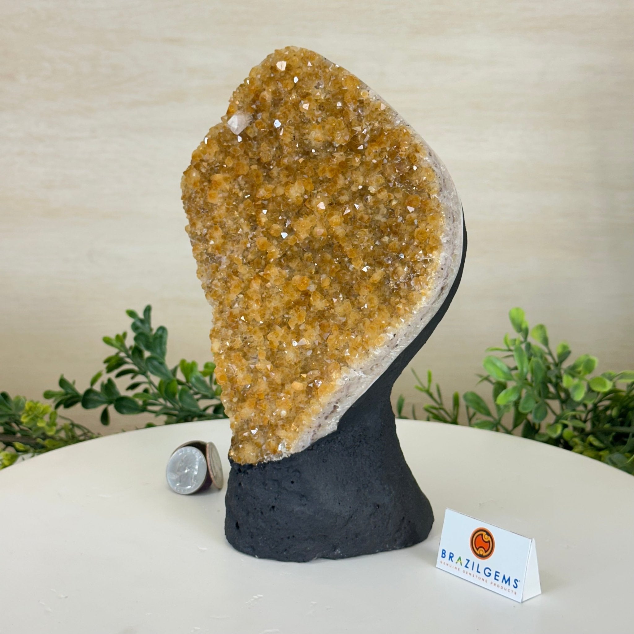 Extra Quality Citrine Cluster on Cement Base, 5 lbs and 8.7" Tall 5615 - 0049 - Brazil GemsBrazil GemsExtra Quality Citrine Cluster on Cement Base, 5 lbs and 8.7" Tall 5615 - 0049Clusters on Cement Bases5615 - 0049