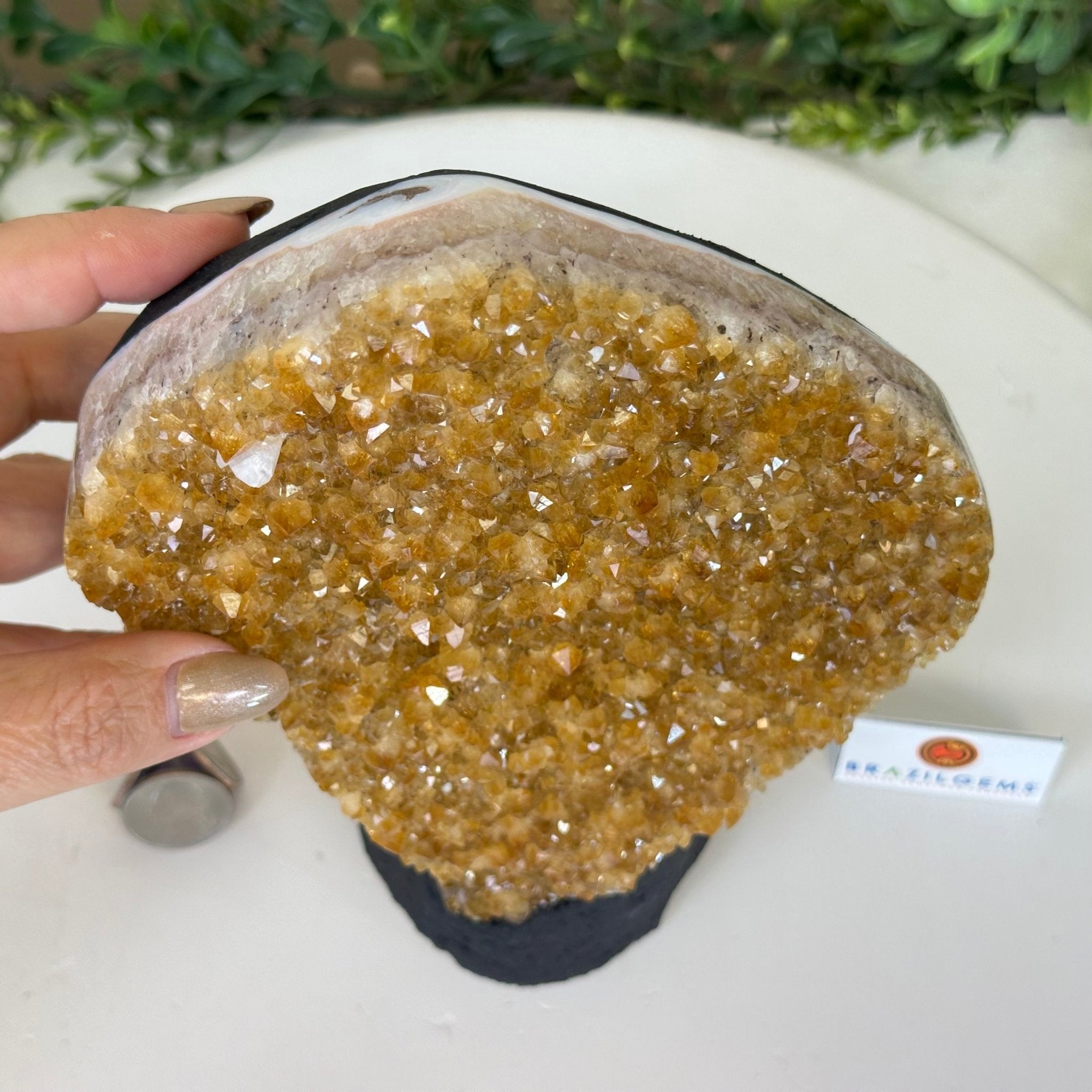 Extra Quality Citrine Cluster on Cement Base, 5 lbs and 8.7" Tall 5615 - 0049 - Brazil GemsBrazil GemsExtra Quality Citrine Cluster on Cement Base, 5 lbs and 8.7" Tall 5615 - 0049Clusters on Cement Bases5615 - 0049