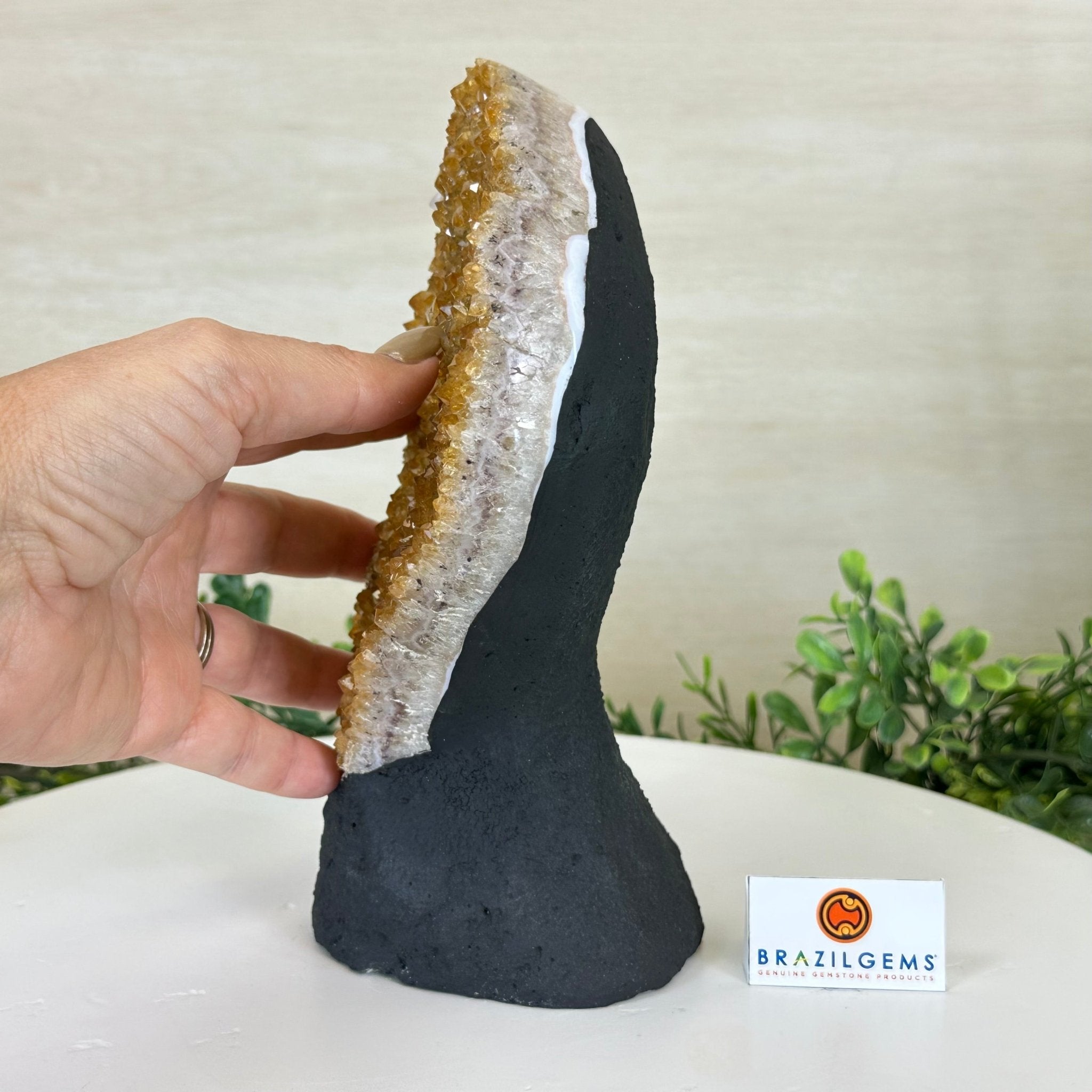 Extra Quality Citrine Cluster on Cement Base, 5 lbs and 8.7" Tall 5615 - 0049 - Brazil GemsBrazil GemsExtra Quality Citrine Cluster on Cement Base, 5 lbs and 8.7" Tall 5615 - 0049Clusters on Cement Bases5615 - 0049