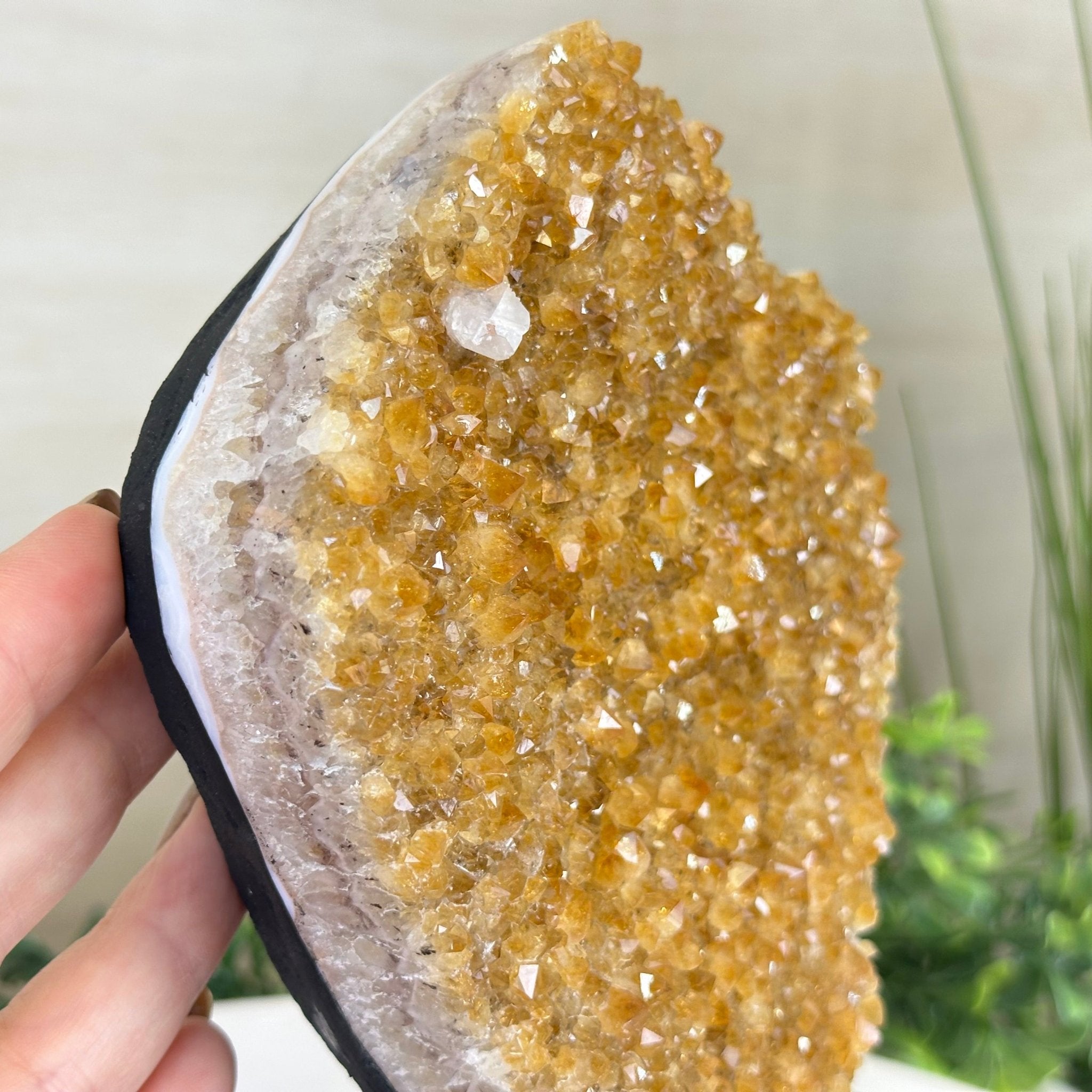 Extra Quality Citrine Cluster on Cement Base, 5 lbs and 8.7" Tall 5615 - 0049 - Brazil GemsBrazil GemsExtra Quality Citrine Cluster on Cement Base, 5 lbs and 8.7" Tall 5615 - 0049Clusters on Cement Bases5615 - 0049