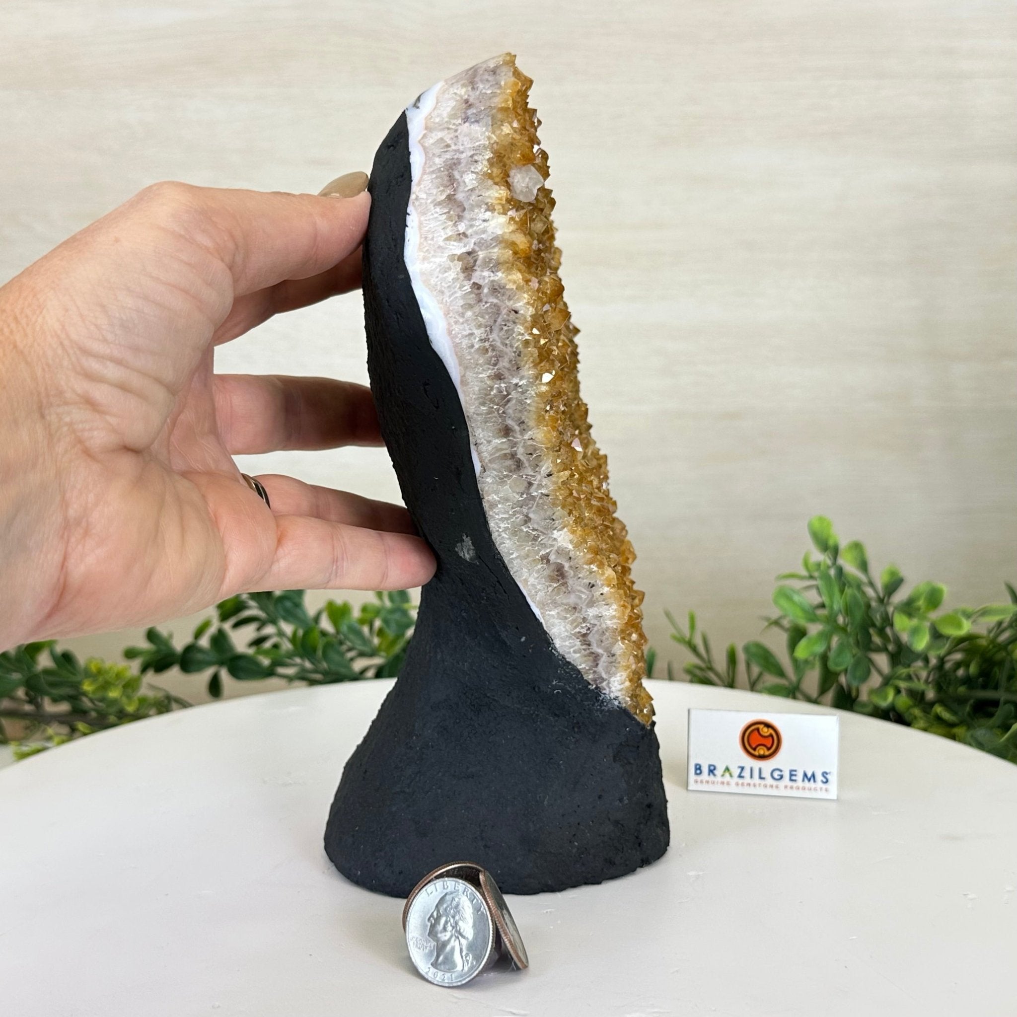 Extra Quality Citrine Cluster on Cement Base, 5 lbs and 8.7" Tall 5615 - 0049 - Brazil GemsBrazil GemsExtra Quality Citrine Cluster on Cement Base, 5 lbs and 8.7" Tall 5615 - 0049Clusters on Cement Bases5615 - 0049