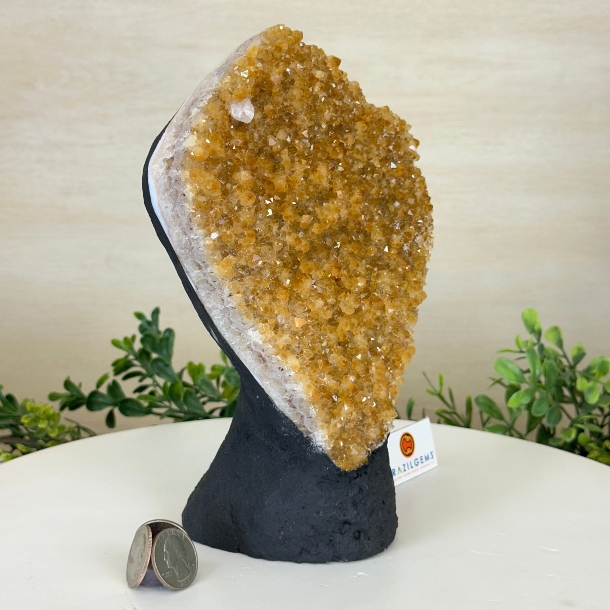 Extra Quality Citrine Cluster on Cement Base, 5 lbs and 8.7" Tall 5615 - 0049 - Brazil GemsBrazil GemsExtra Quality Citrine Cluster on Cement Base, 5 lbs and 8.7" Tall 5615 - 0049Clusters on Cement Bases5615 - 0049