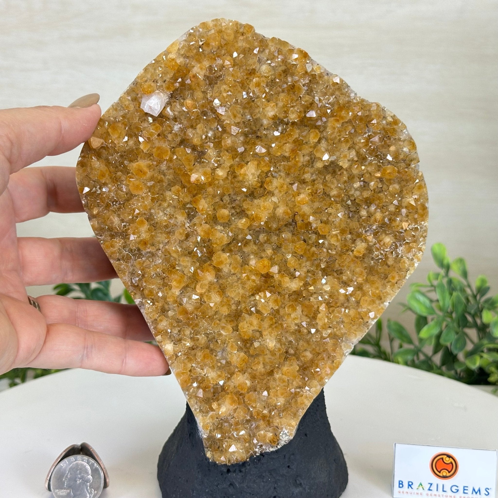 Extra Quality Citrine Cluster on Cement Base, 5 lbs and 8.7" Tall 5615 - 0049 - Brazil GemsBrazil GemsExtra Quality Citrine Cluster on Cement Base, 5 lbs and 8.7" Tall 5615 - 0049Clusters on Cement Bases5615 - 0049