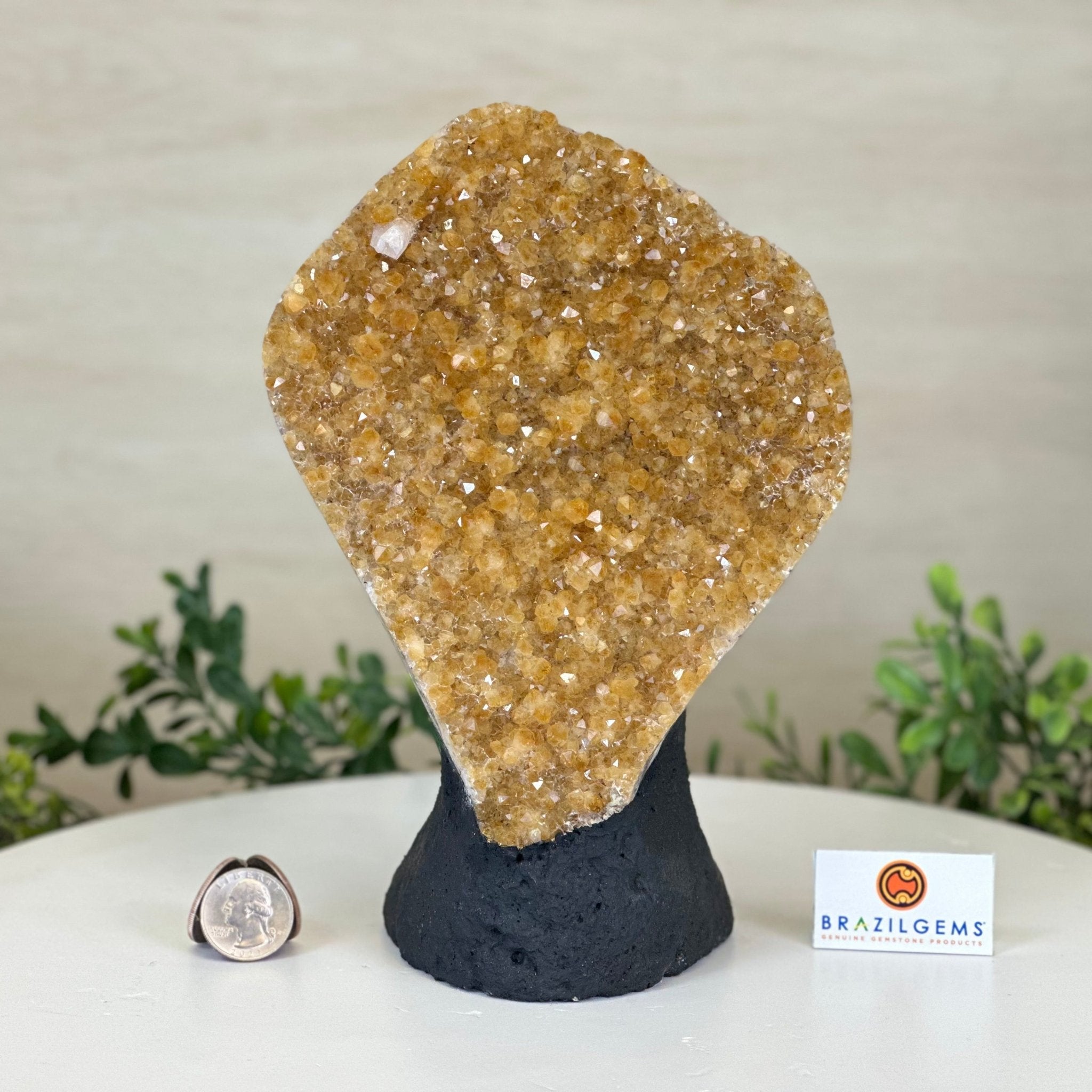 Extra Quality Citrine Cluster on Cement Base, 5 lbs and 8.7" Tall 5615 - 0049 - Brazil GemsBrazil GemsExtra Quality Citrine Cluster on Cement Base, 5 lbs and 8.7" Tall 5615 - 0049Clusters on Cement Bases5615 - 0049