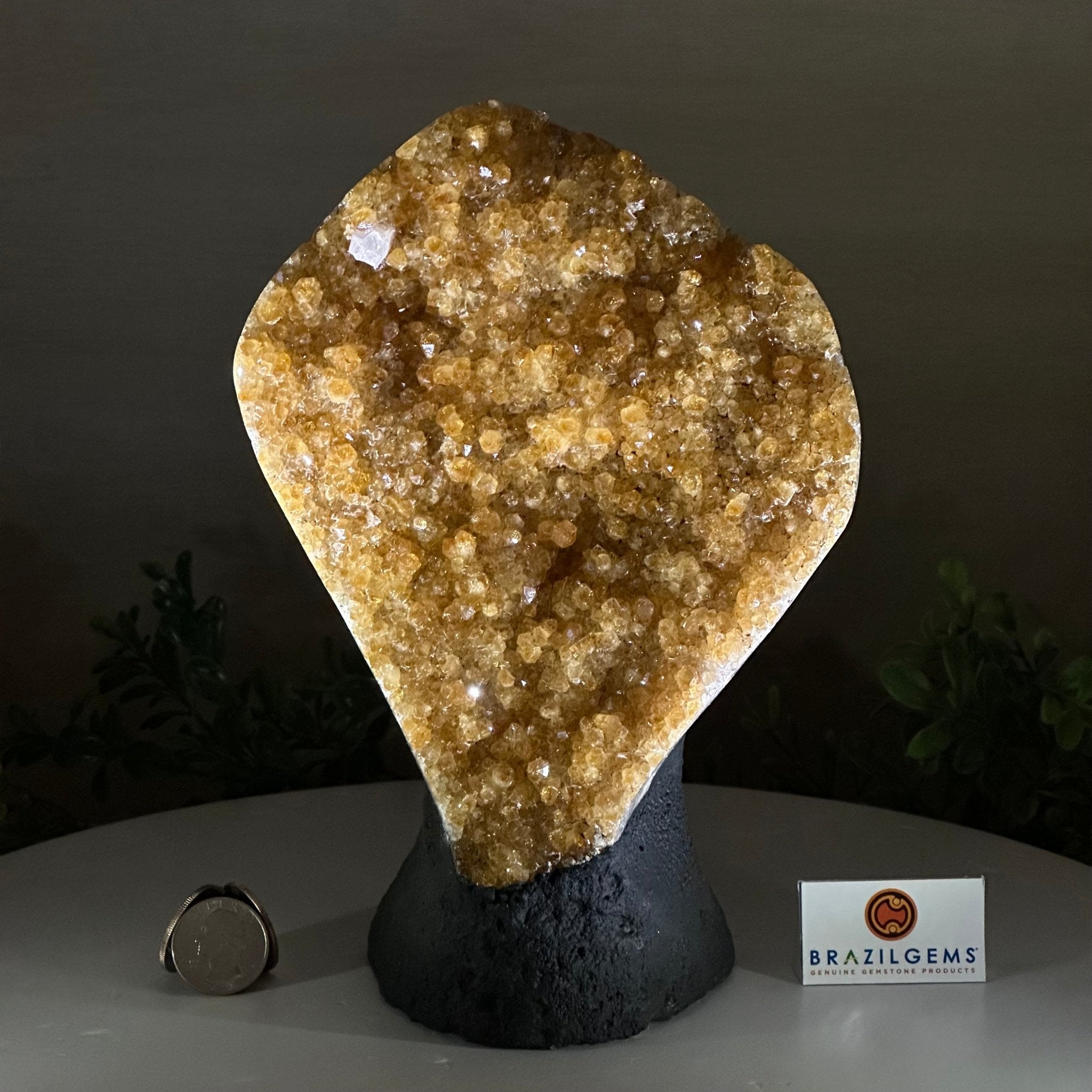 Extra Quality Citrine Cluster on Cement Base, 5 lbs and 8.7" Tall 5615 - 0049 - Brazil GemsBrazil GemsExtra Quality Citrine Cluster on Cement Base, 5 lbs and 8.7" Tall 5615 - 0049Clusters on Cement Bases5615 - 0049