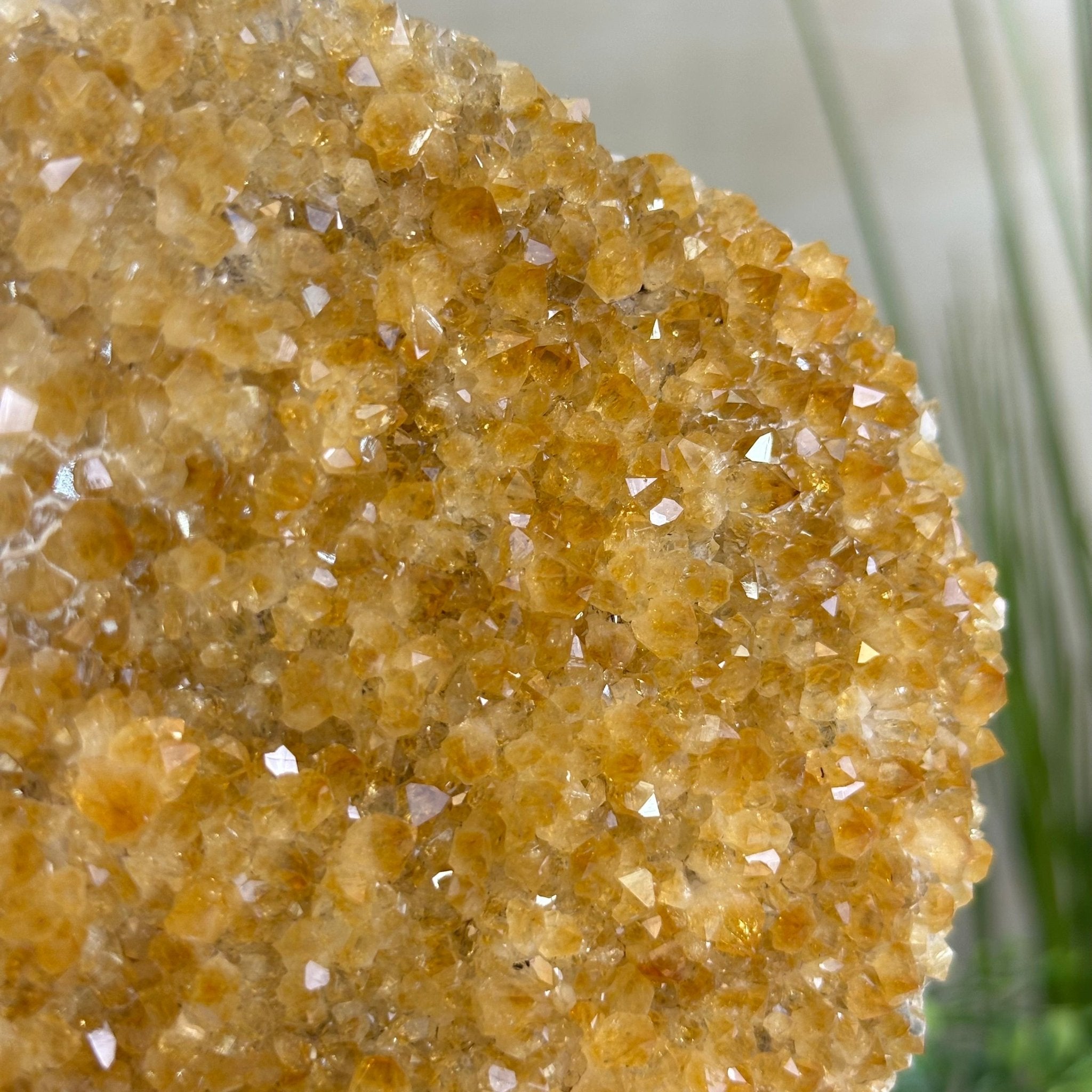 Extra Quality Citrine Cluster on Cement Base, 5 lbs and 9.2" Tall 5615 - 0050 - Brazil GemsBrazil GemsExtra Quality Citrine Cluster on Cement Base, 5 lbs and 9.2" Tall 5615 - 0050Clusters on Cement Bases5615 - 0050