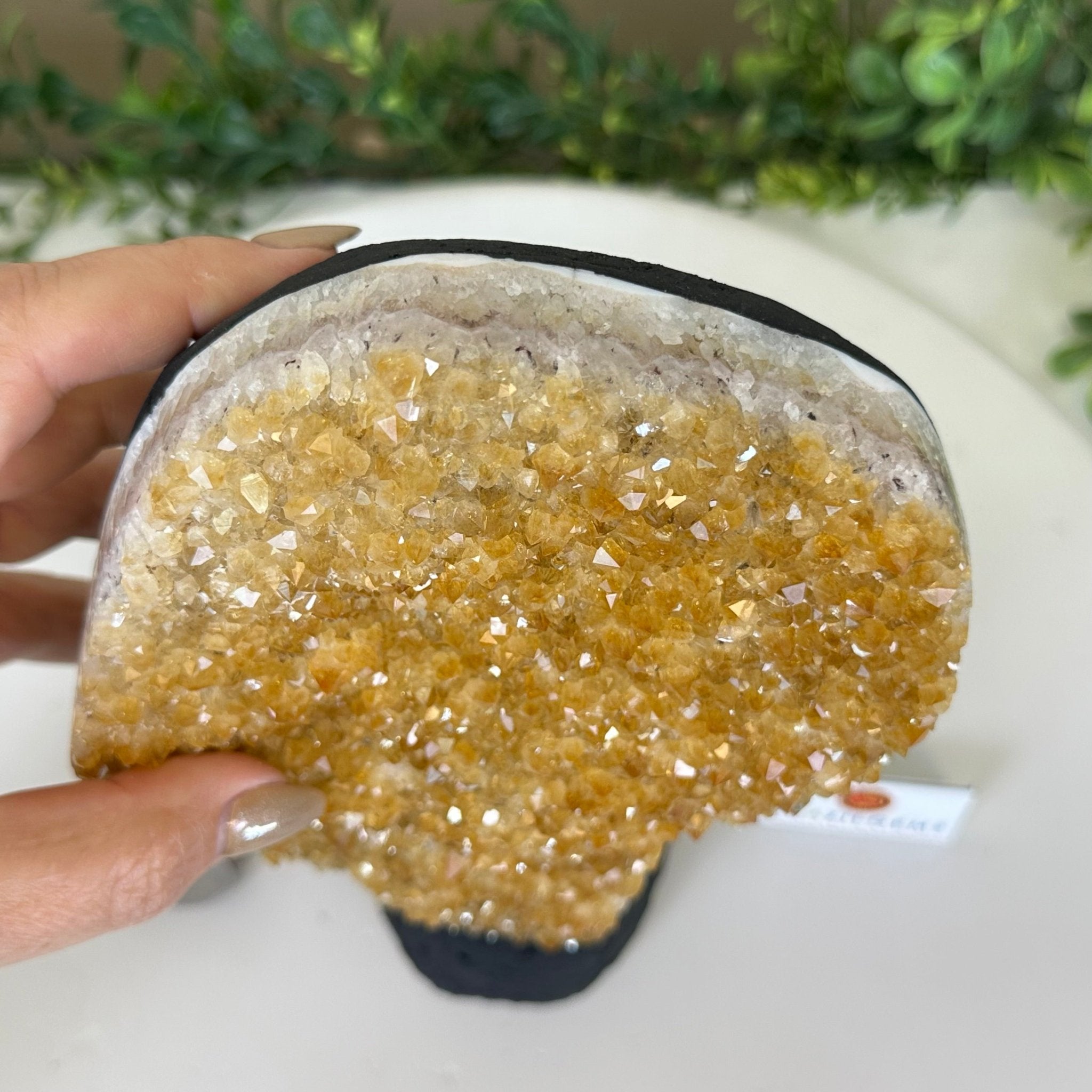 Extra Quality Citrine Cluster on Cement Base, 5 lbs and 9.2" Tall 5615 - 0050 - Brazil GemsBrazil GemsExtra Quality Citrine Cluster on Cement Base, 5 lbs and 9.2" Tall 5615 - 0050Clusters on Cement Bases5615 - 0050