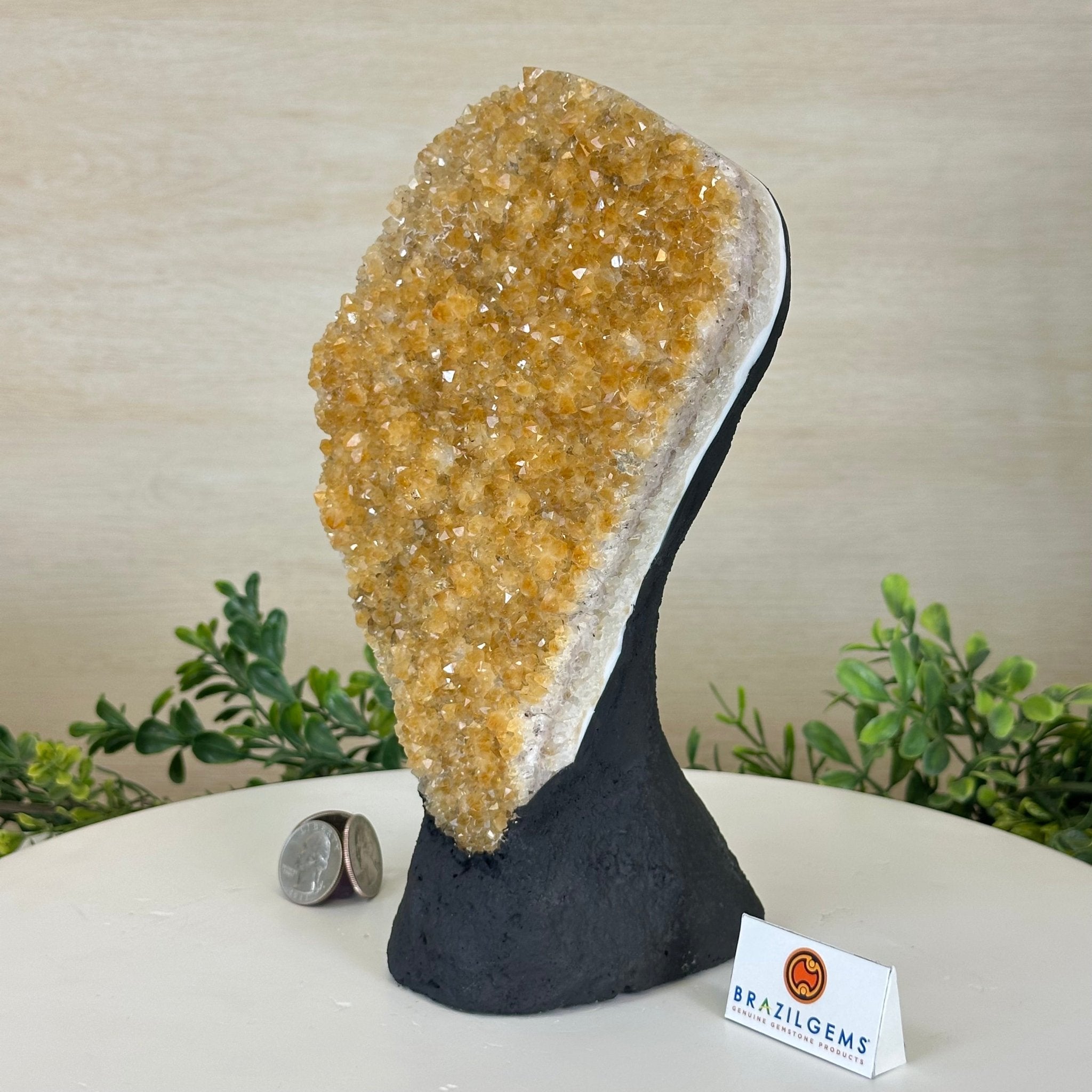 Extra Quality Citrine Cluster on Cement Base, 5 lbs and 9.2" Tall 5615 - 0050 - Brazil GemsBrazil GemsExtra Quality Citrine Cluster on Cement Base, 5 lbs and 9.2" Tall 5615 - 0050Clusters on Cement Bases5615 - 0050