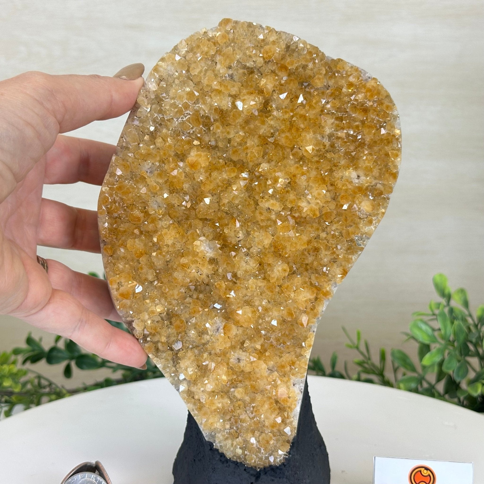 Extra Quality Citrine Cluster on Cement Base, 5 lbs and 9.2" Tall 5615 - 0050 - Brazil GemsBrazil GemsExtra Quality Citrine Cluster on Cement Base, 5 lbs and 9.2" Tall 5615 - 0050Clusters on Cement Bases5615 - 0050