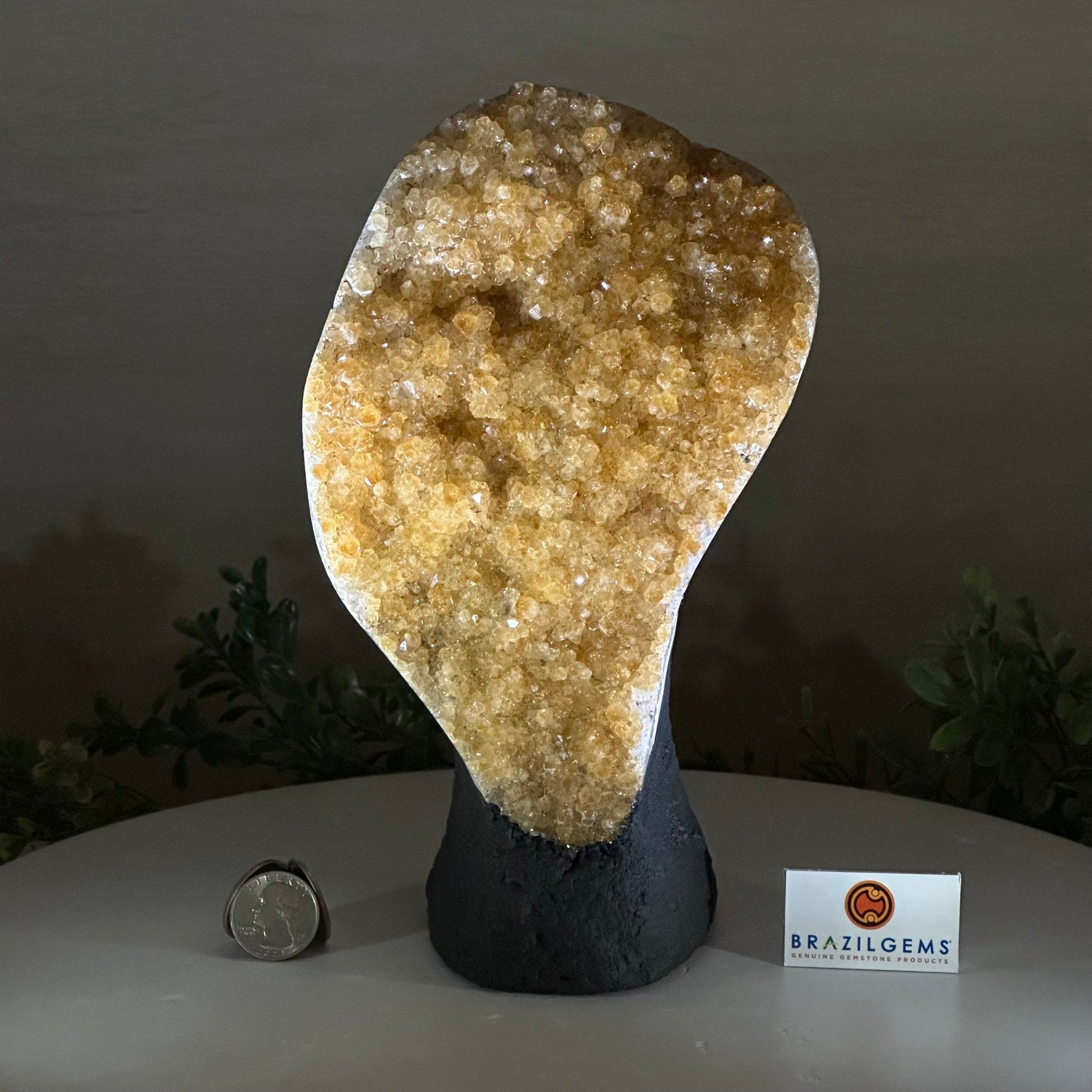 Extra Quality Citrine Cluster on Cement Base, 5 lbs and 9.2" Tall 5615 - 0050 - Brazil GemsBrazil GemsExtra Quality Citrine Cluster on Cement Base, 5 lbs and 9.2" Tall 5615 - 0050Clusters on Cement Bases5615 - 0050