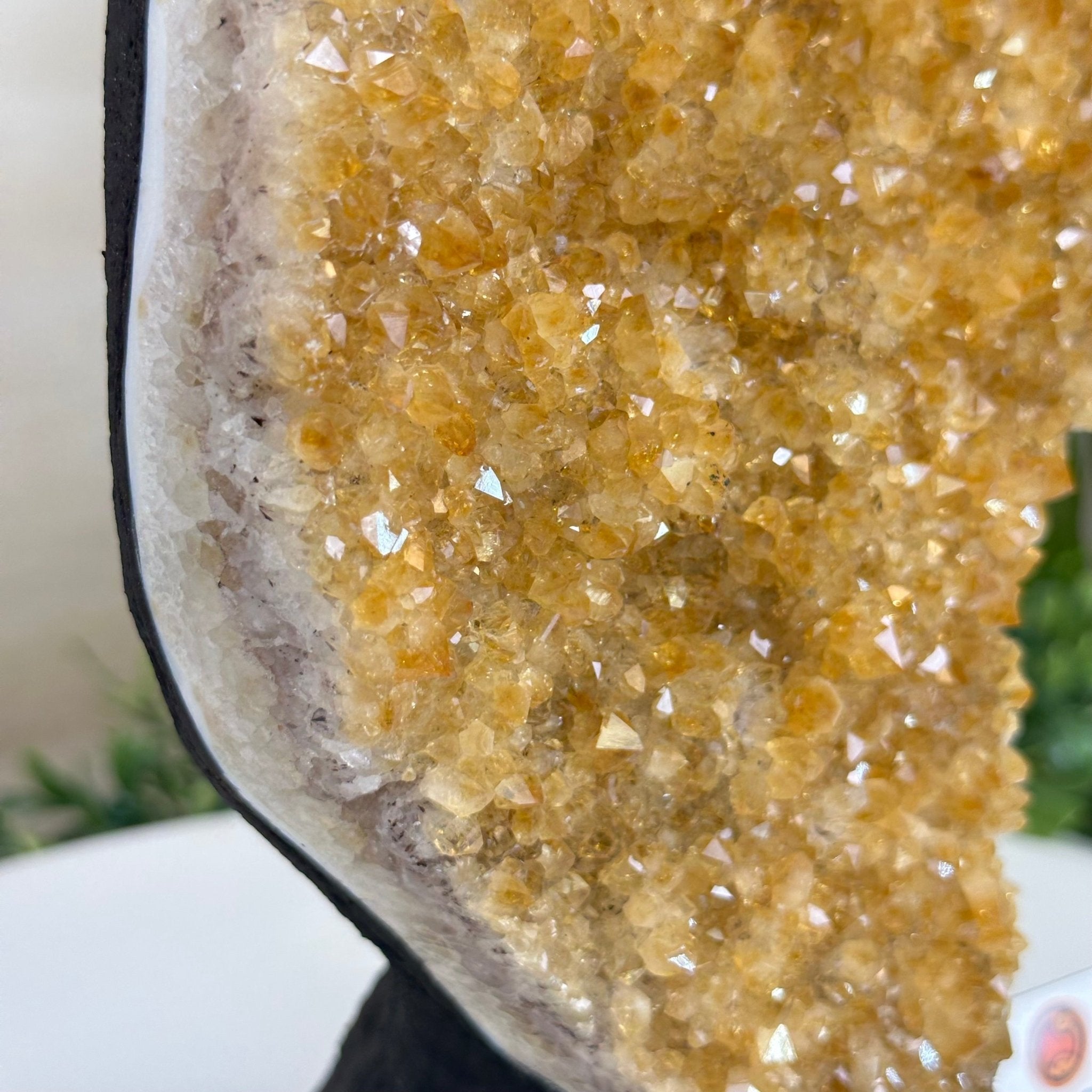 Extra Quality Citrine Cluster on Cement Base, 5 lbs and 9.2" Tall 5615 - 0050 - Brazil GemsBrazil GemsExtra Quality Citrine Cluster on Cement Base, 5 lbs and 9.2" Tall 5615 - 0050Clusters on Cement Bases5615 - 0050