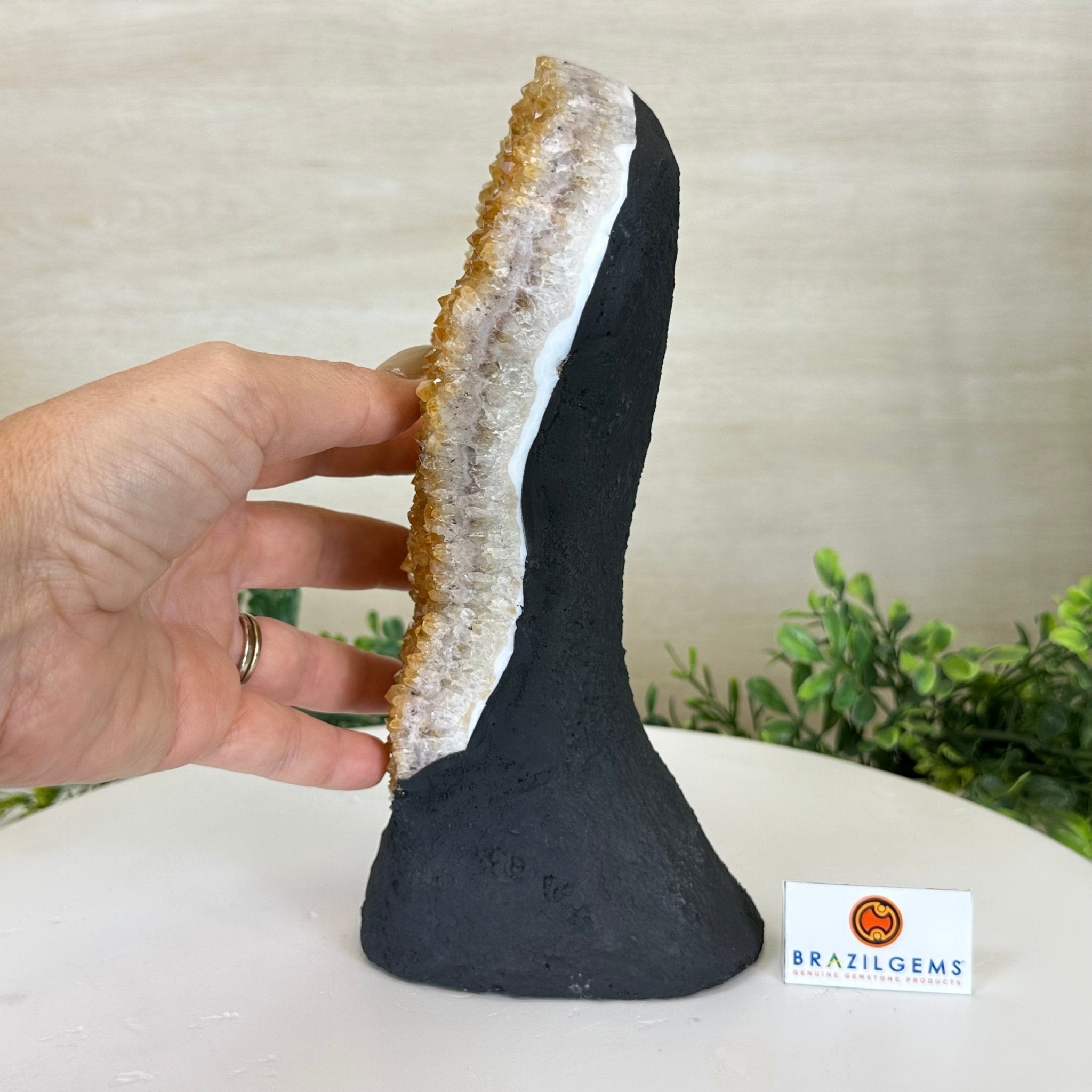 Extra Quality Citrine Cluster on Cement Base, 5 lbs and 9.2" Tall 5615 - 0050 - Brazil GemsBrazil GemsExtra Quality Citrine Cluster on Cement Base, 5 lbs and 9.2" Tall 5615 - 0050Clusters on Cement Bases5615 - 0050