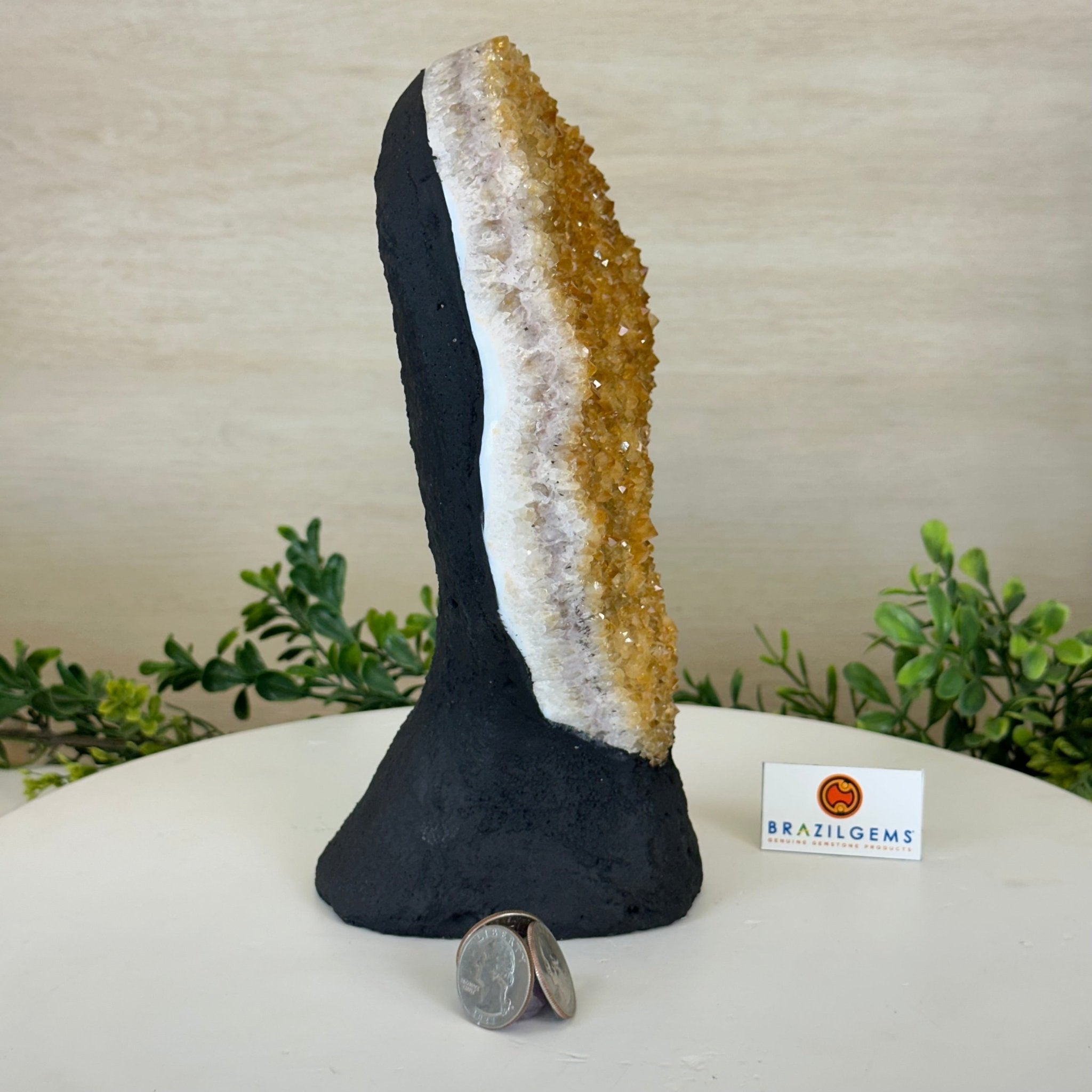 Extra Quality Citrine Cluster on Cement Base, 5 lbs and 9.2" Tall 5615 - 0050 - Brazil GemsBrazil GemsExtra Quality Citrine Cluster on Cement Base, 5 lbs and 9.2" Tall 5615 - 0050Clusters on Cement Bases5615 - 0050