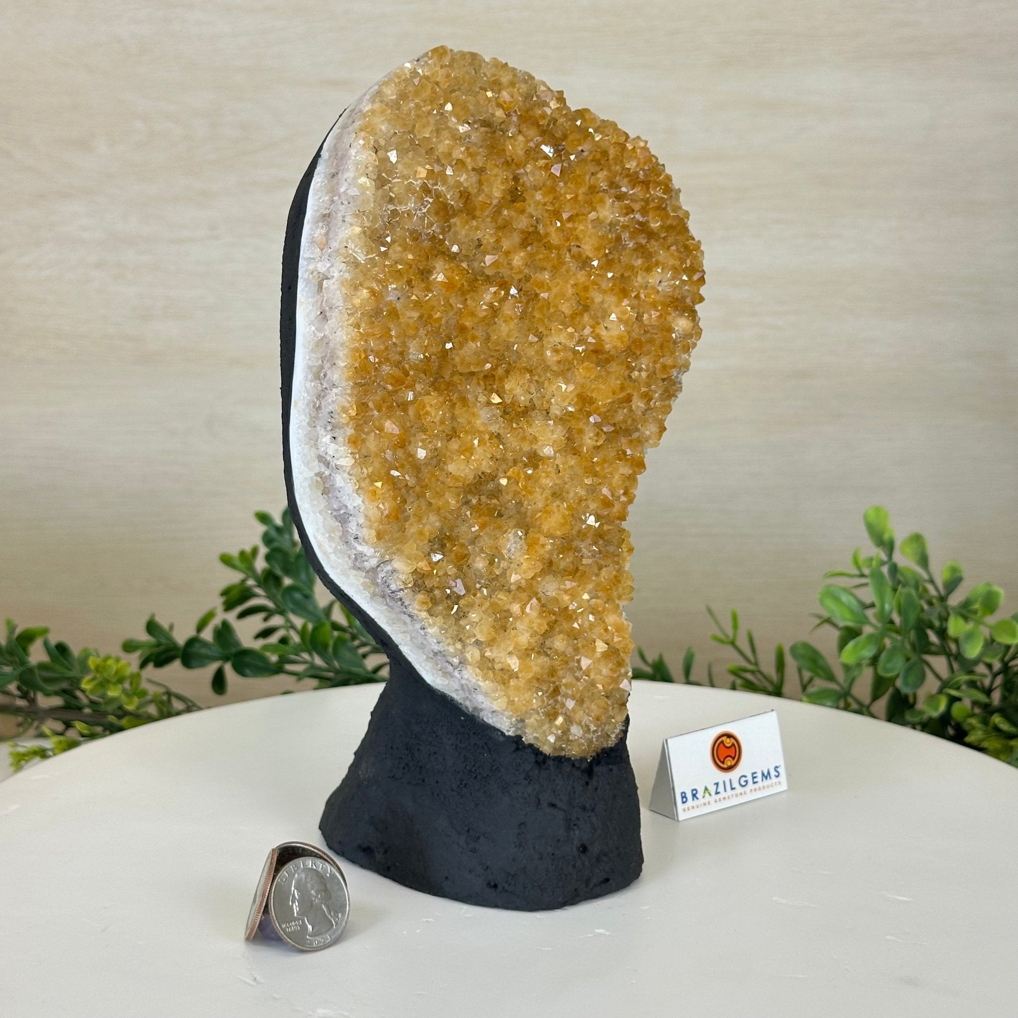 Extra Quality Citrine Cluster on Cement Base, 5 lbs and 9.2" Tall 5615 - 0050 - Brazil GemsBrazil GemsExtra Quality Citrine Cluster on Cement Base, 5 lbs and 9.2" Tall 5615 - 0050Clusters on Cement Bases5615 - 0050