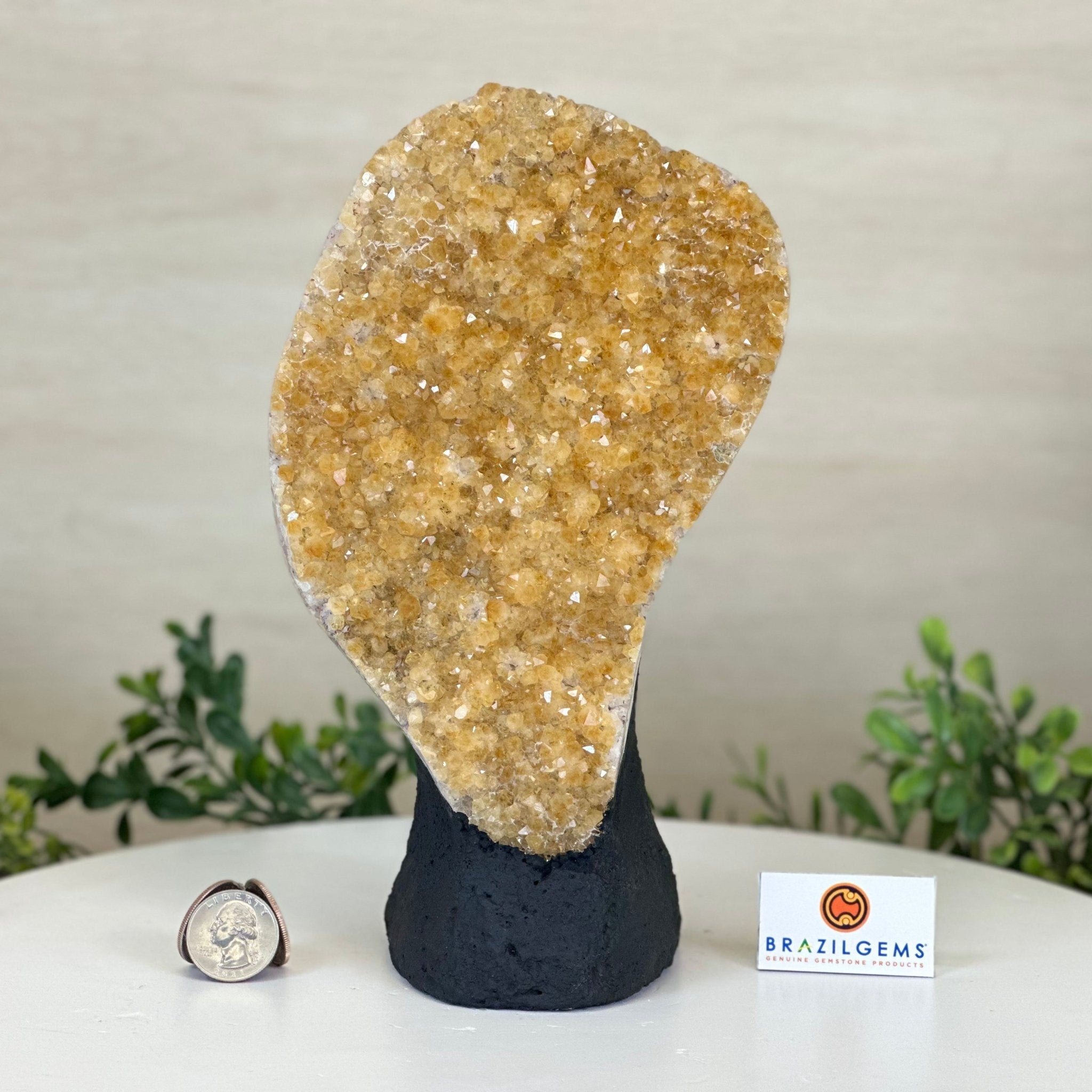 Extra Quality Citrine Cluster on Cement Base, 5 lbs and 9.2" Tall 5615 - 0050 - Brazil GemsBrazil GemsExtra Quality Citrine Cluster on Cement Base, 5 lbs and 9.2" Tall 5615 - 0050Clusters on Cement Bases5615 - 0050