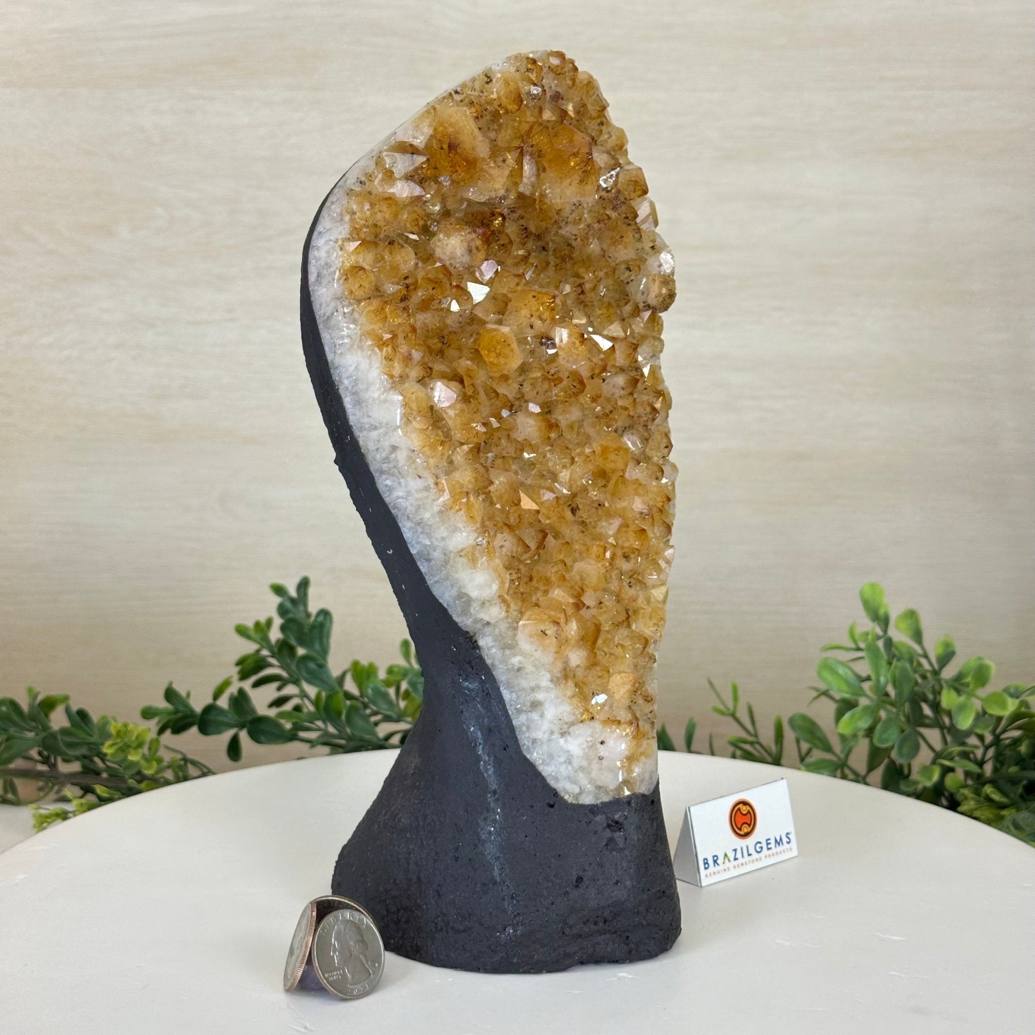 Extra Quality Citrine Cluster on Cement Base, 6 lbs and 10.4" Tall 5615 - 0051 - Brazil GemsBrazil GemsExtra Quality Citrine Cluster on Cement Base, 6 lbs and 10.4" Tall 5615 - 0051Clusters on Cement Bases5615 - 0051