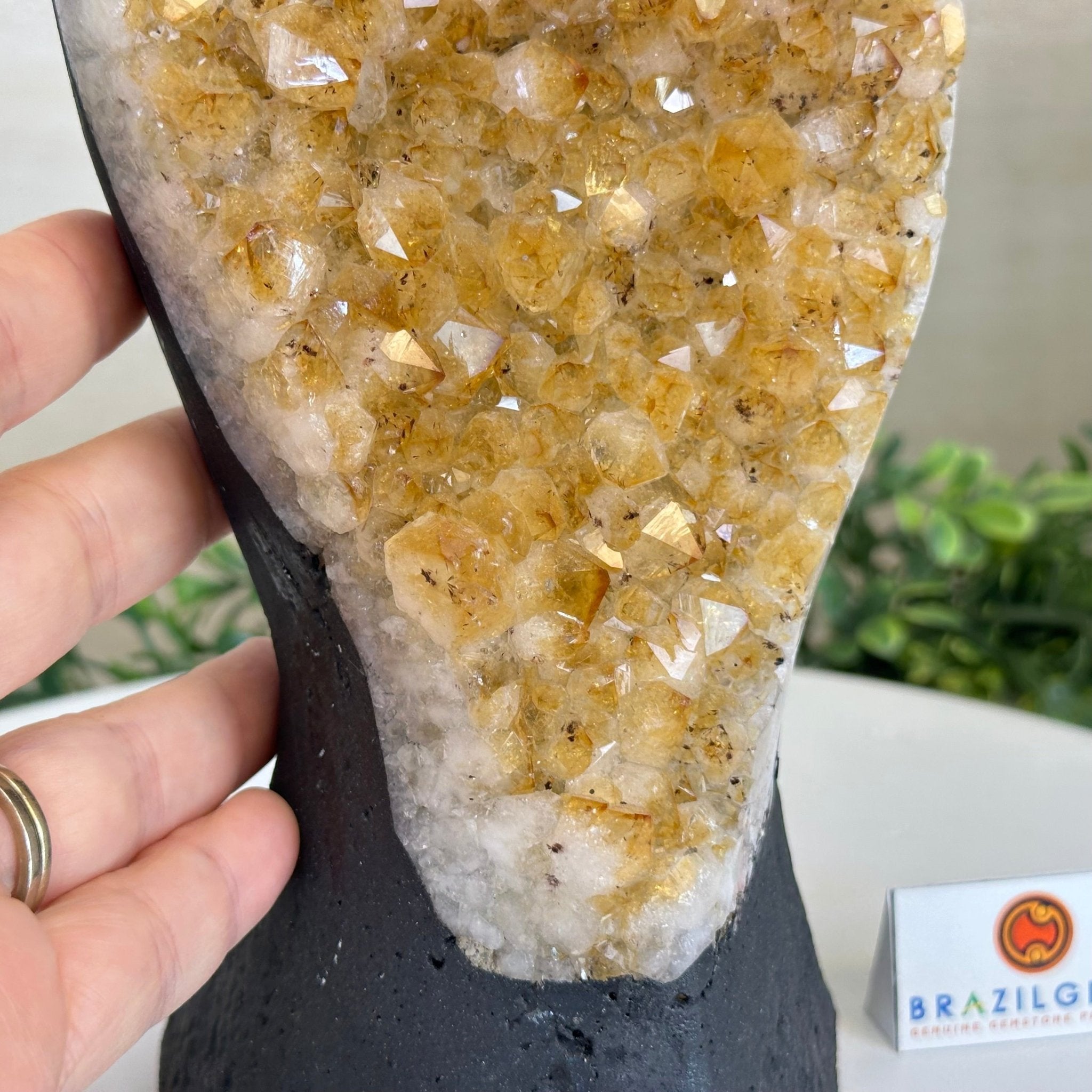 Extra Quality Citrine Cluster on Cement Base, 6 lbs and 10.4" Tall 5615 - 0051 - Brazil GemsBrazil GemsExtra Quality Citrine Cluster on Cement Base, 6 lbs and 10.4" Tall 5615 - 0051Clusters on Cement Bases5615 - 0051