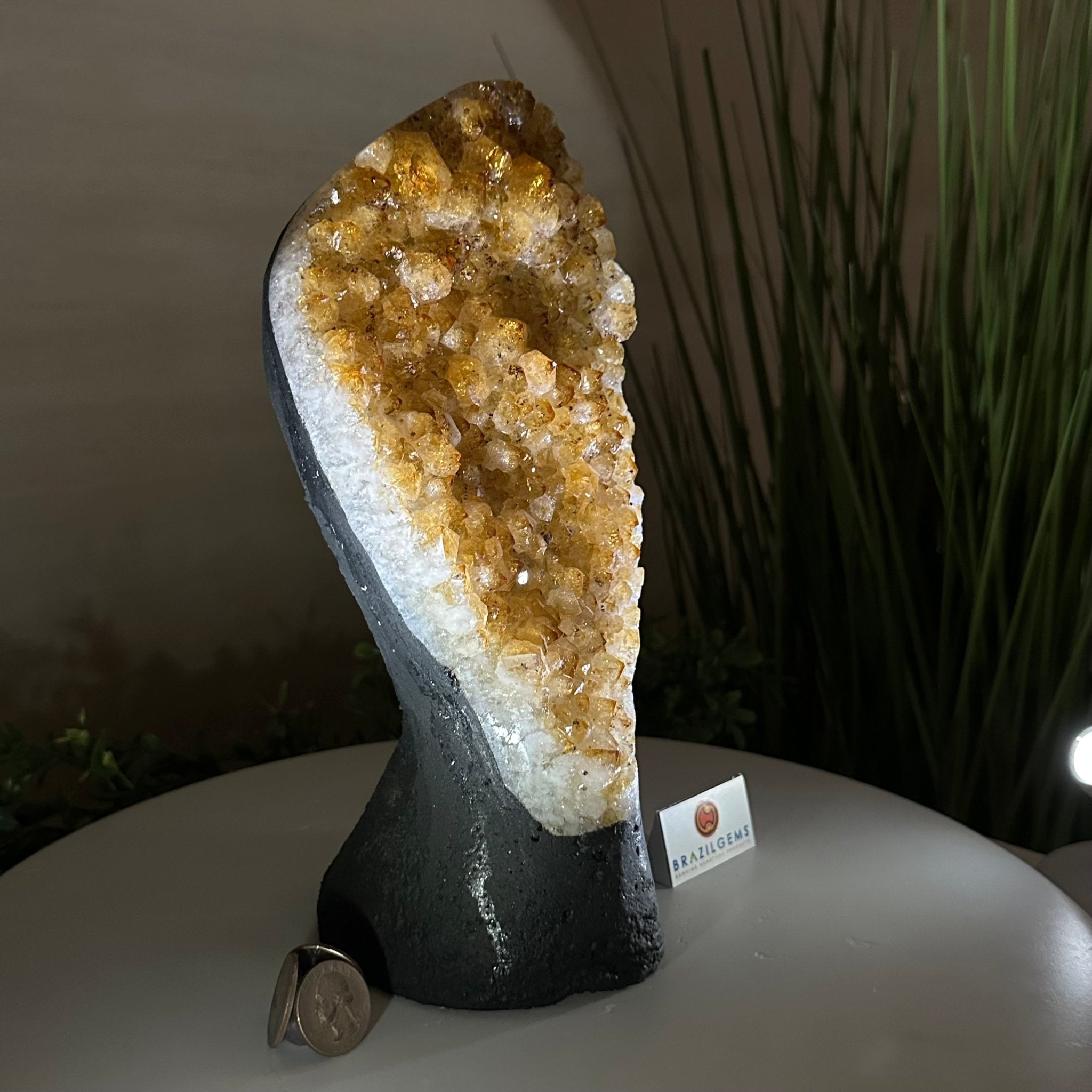 Extra Quality Citrine Cluster on Cement Base, 6 lbs and 10.4" Tall 5615 - 0051 - Brazil GemsBrazil GemsExtra Quality Citrine Cluster on Cement Base, 6 lbs and 10.4" Tall 5615 - 0051Clusters on Cement Bases5615 - 0051