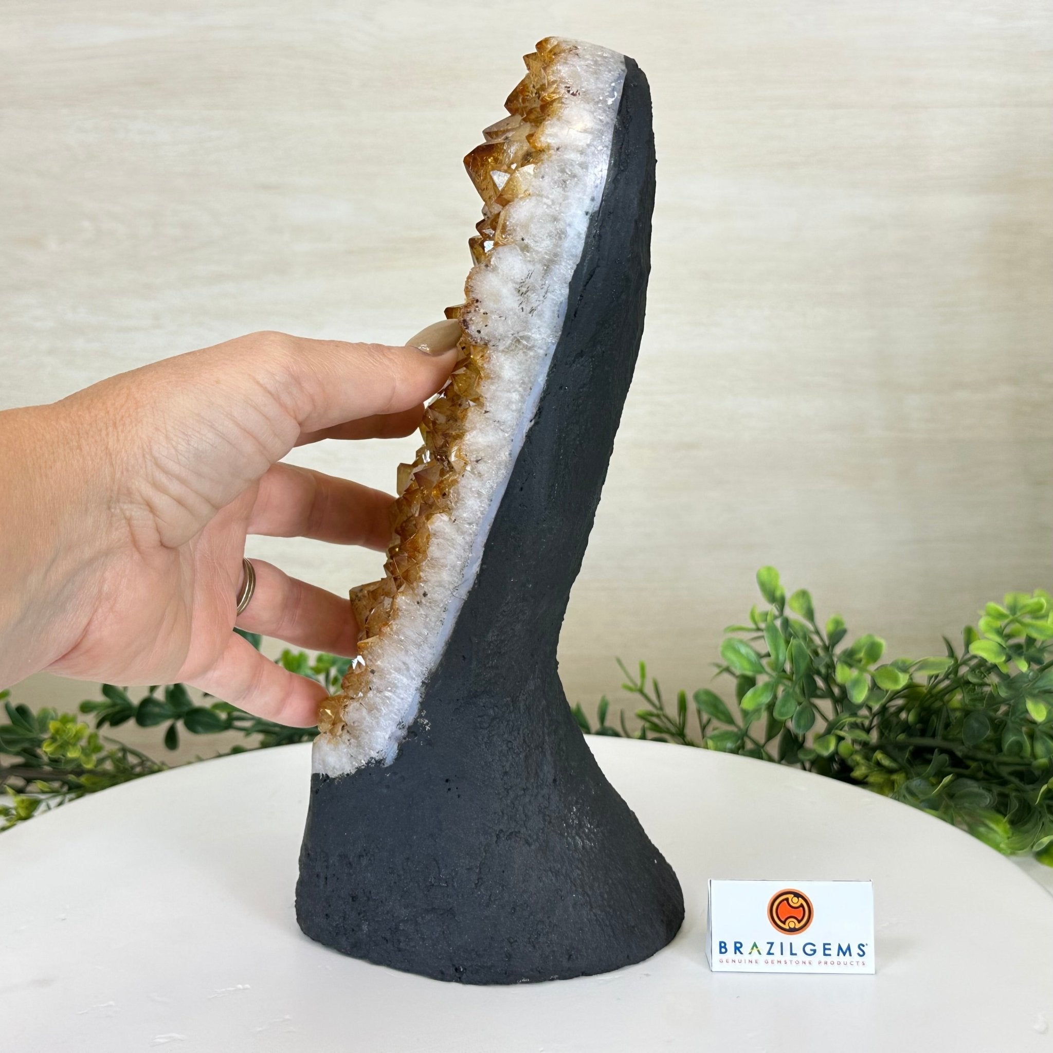 Extra Quality Citrine Cluster on Cement Base, 6 lbs and 10.4" Tall 5615 - 0051 - Brazil GemsBrazil GemsExtra Quality Citrine Cluster on Cement Base, 6 lbs and 10.4" Tall 5615 - 0051Clusters on Cement Bases5615 - 0051